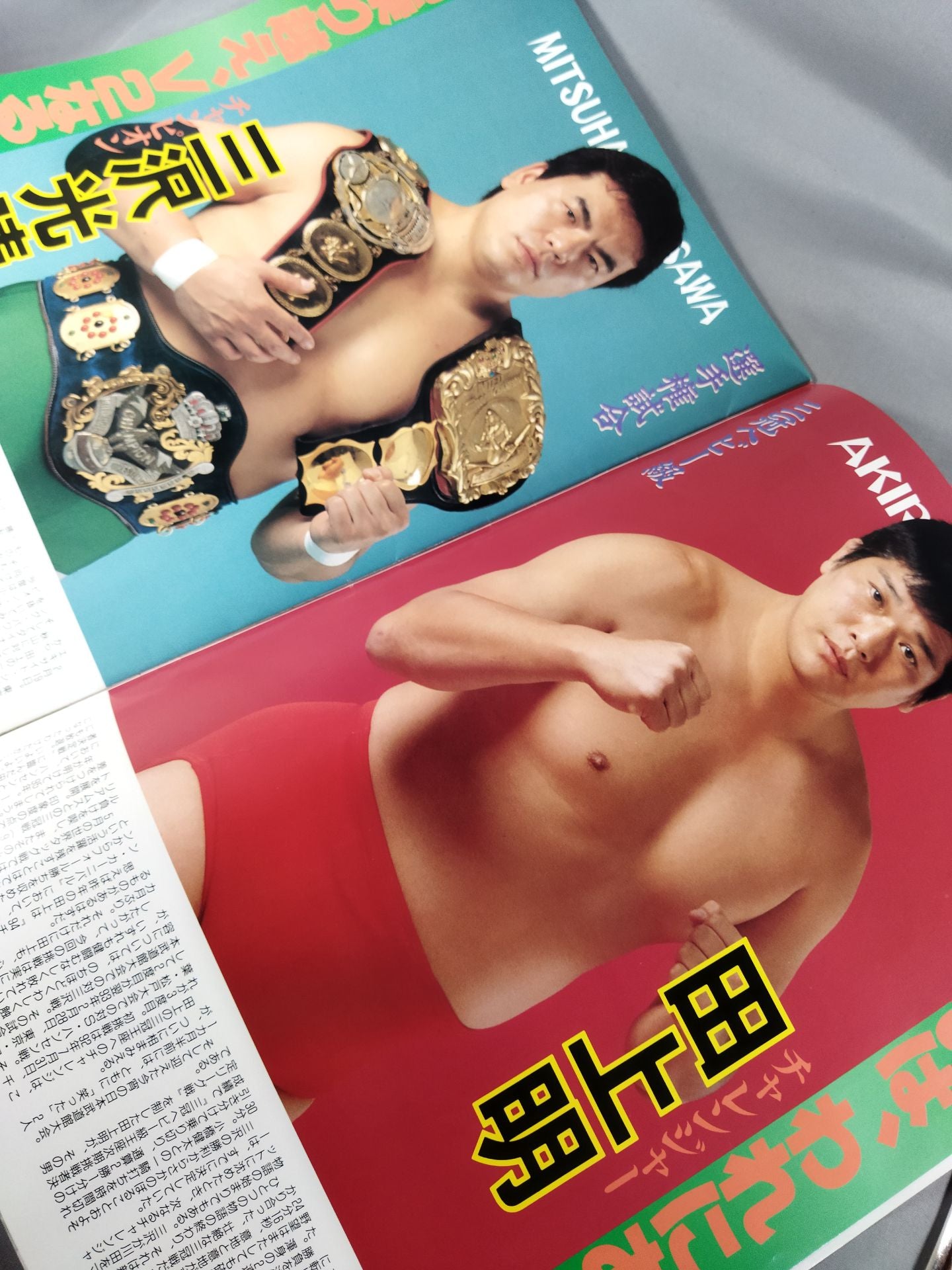 95サマーアクション・シリーズⅡ /“晩夏”燃焼宣言IN武道館