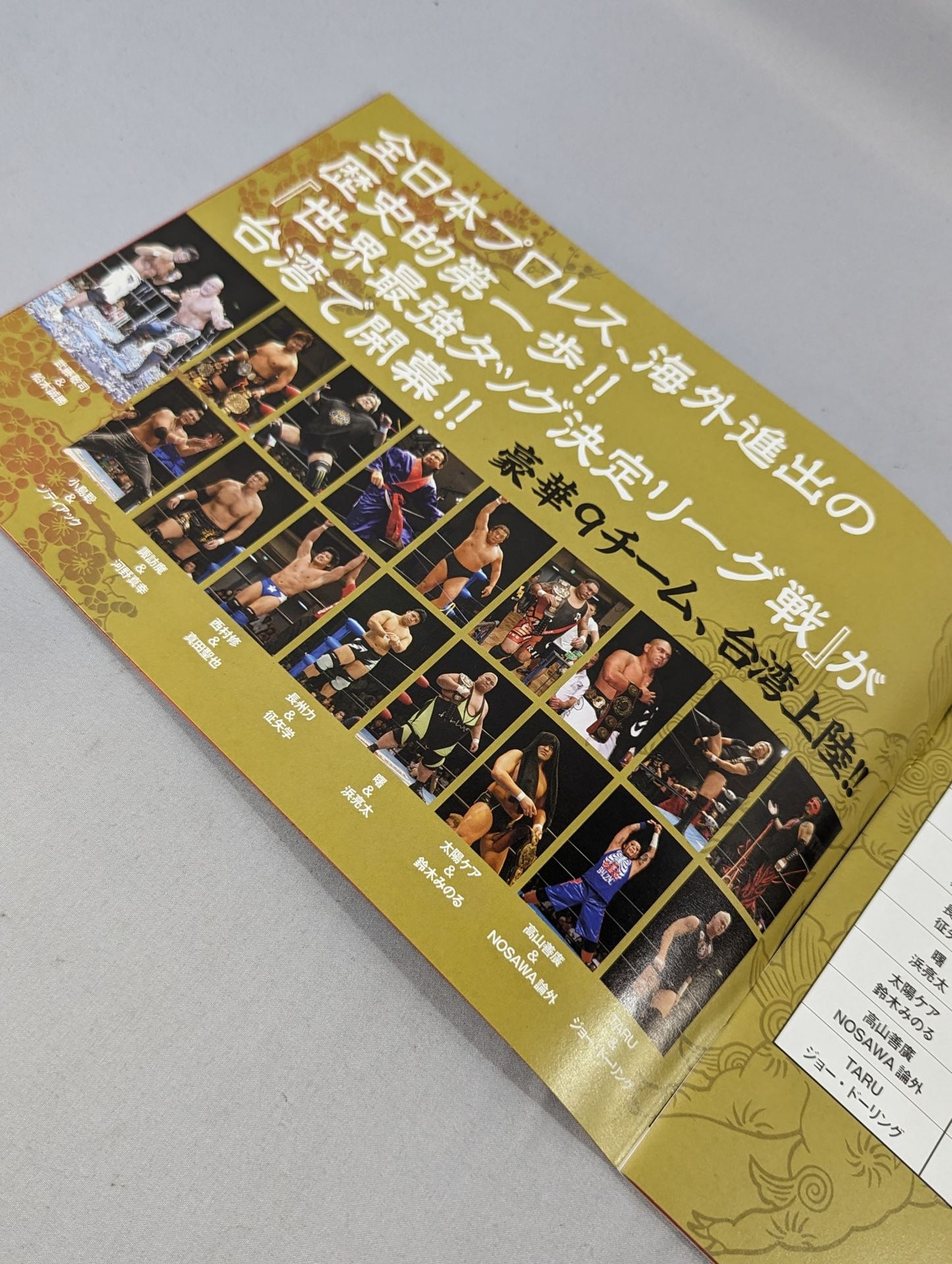 2009世界最強タッグ決定リーグ戦＆2009プロレスLove in Taiwan