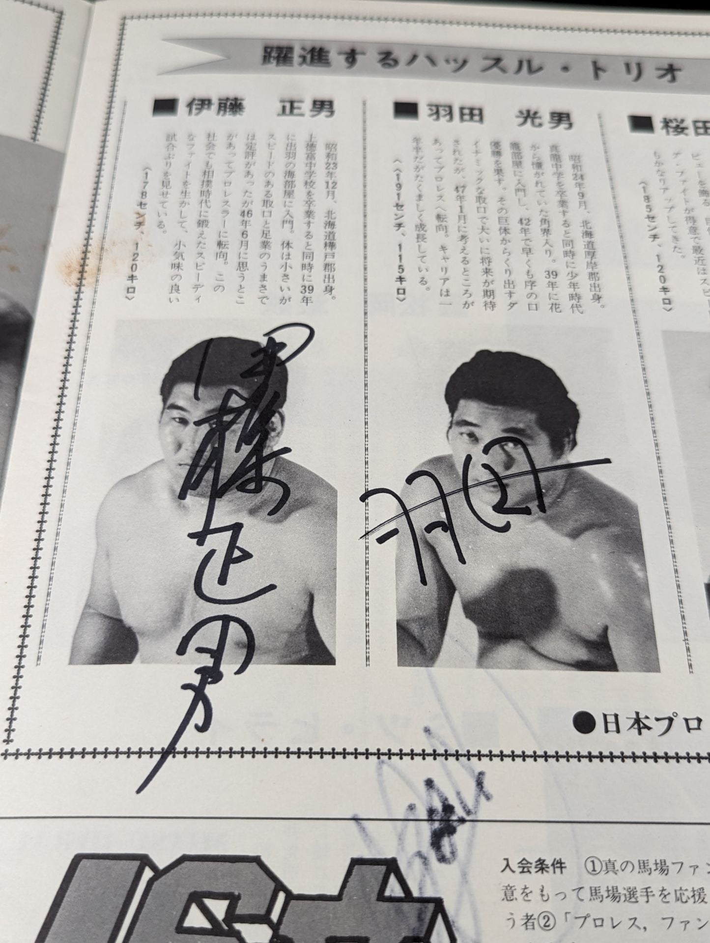 [4 fighters hand signed autograph 73 1st Anniversary Giant Series