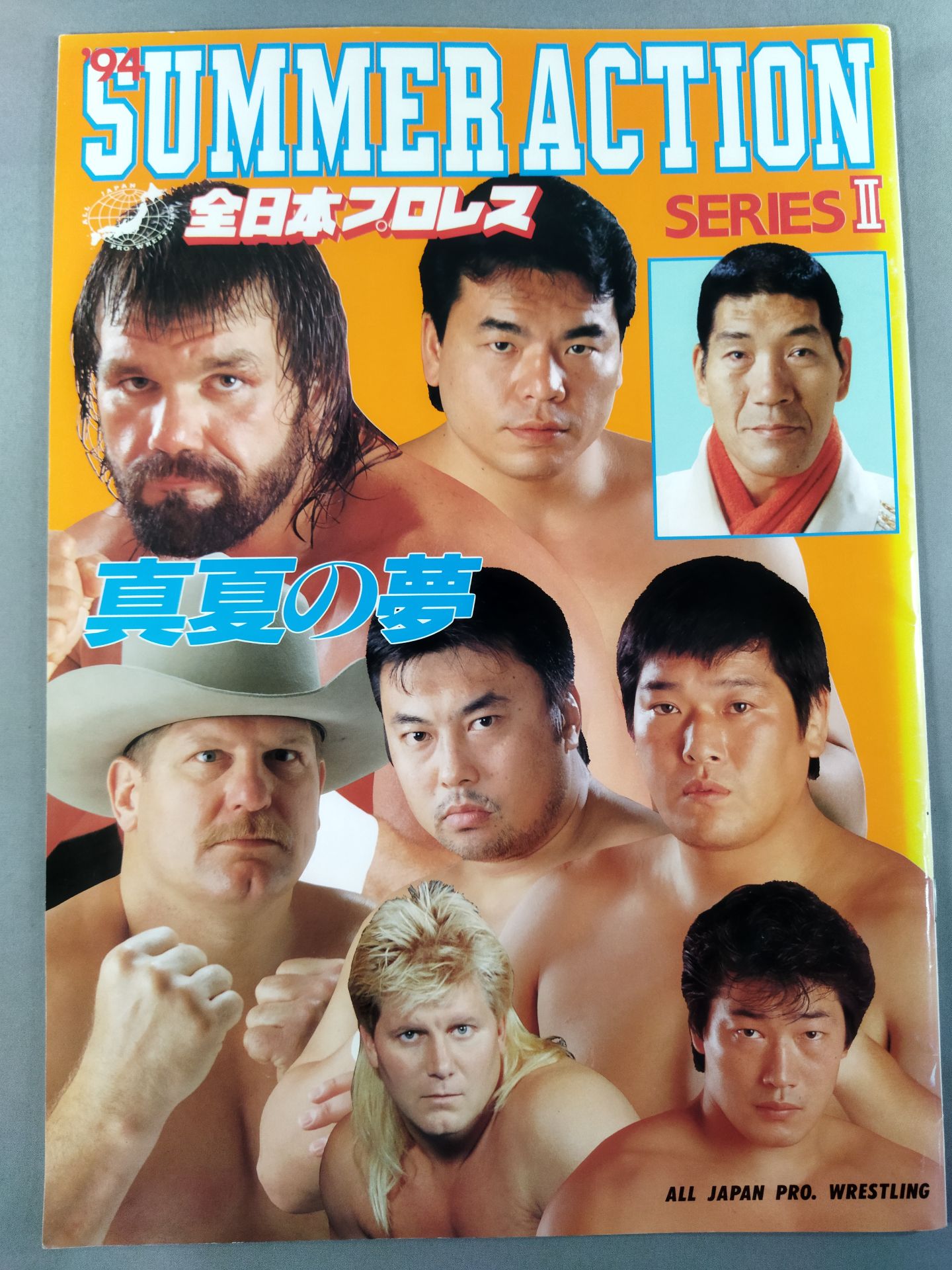 94サマーアクション・シリーズⅡ 真夏の夢