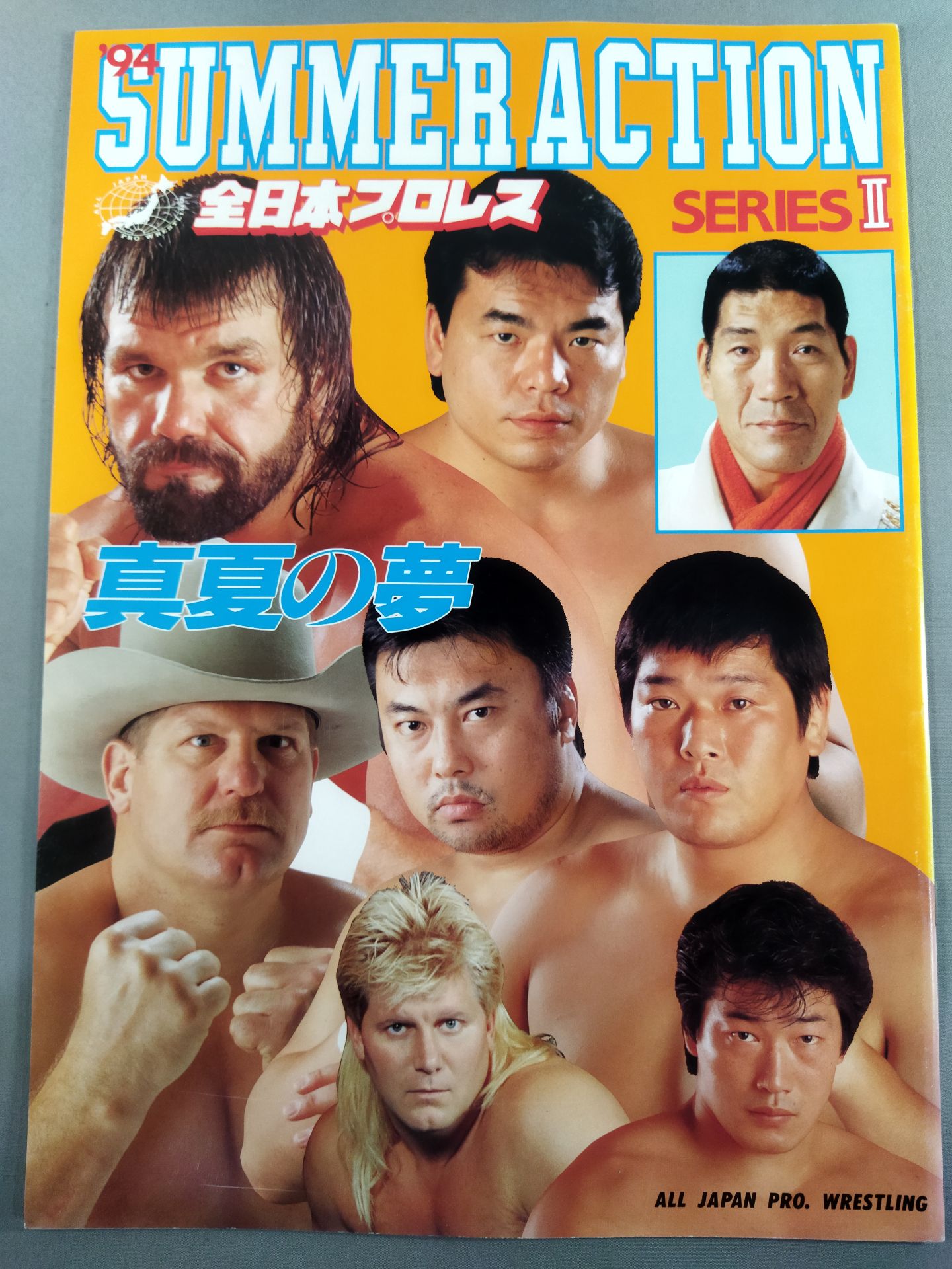 94サマーアクション・シリーズⅡ 真夏の夢