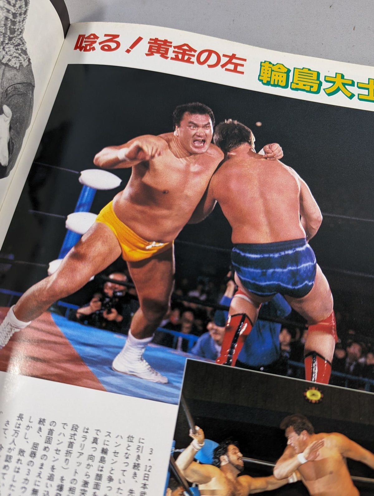 ★輪島vsアニマル★ 創立15周年記念 87スーパーパワー・シリーズ【最終戦】