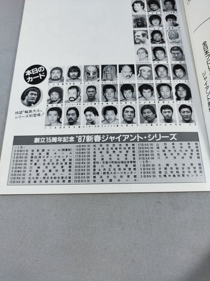 15th Anniversary 87 New Year Giant Series
