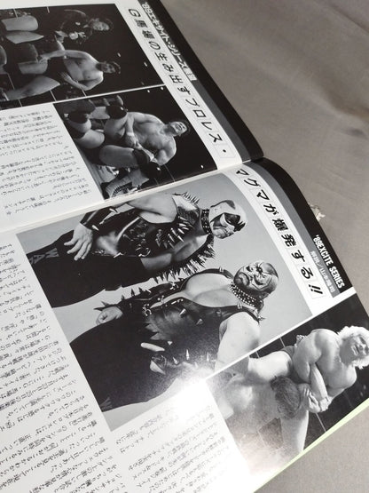 ★ 2nd Tiger vs R Steamboat NWA ★ 89 Excite Series
