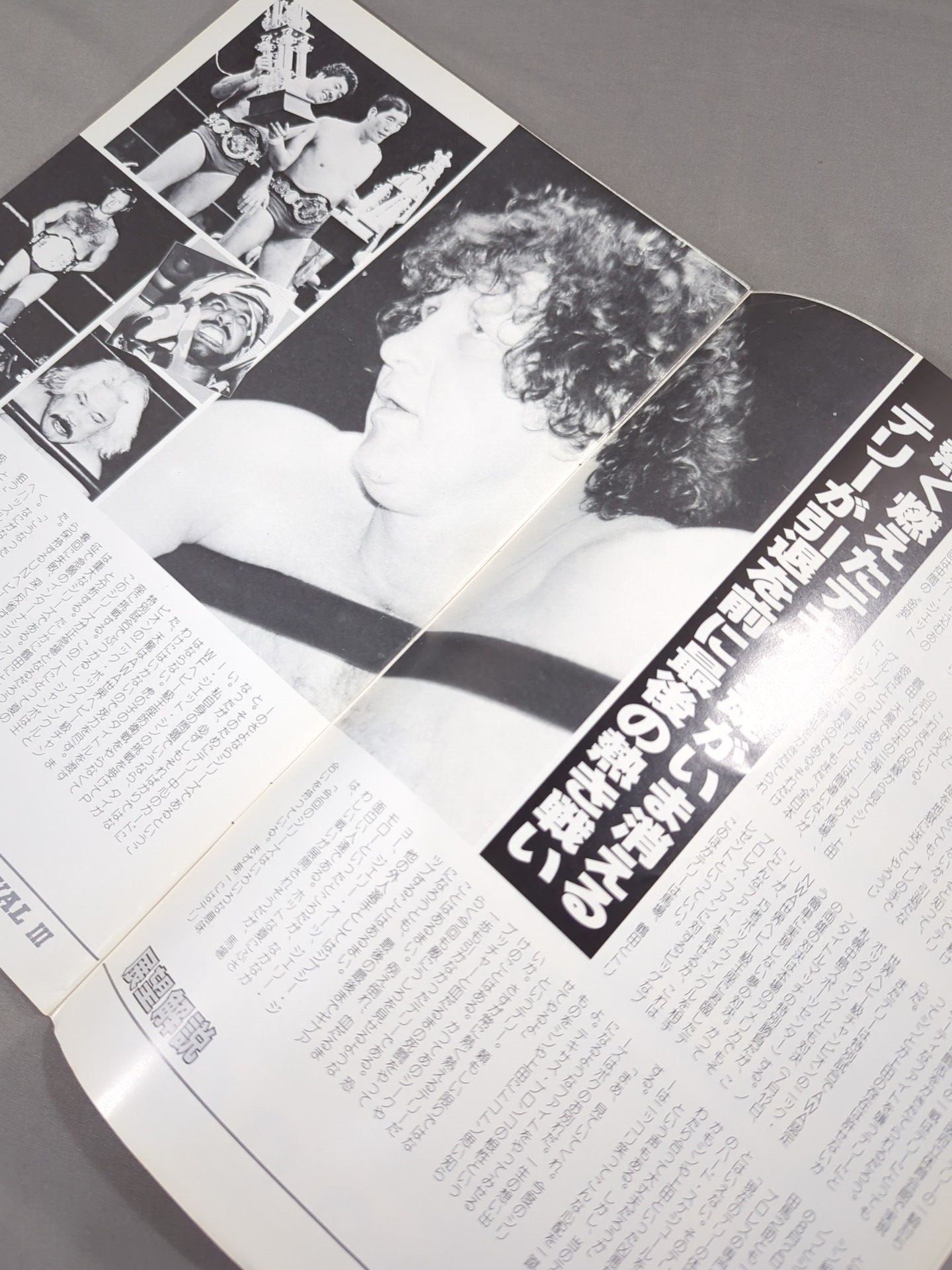 83 Grand Champion Carnival III. Terry Funk Goodbye Series
