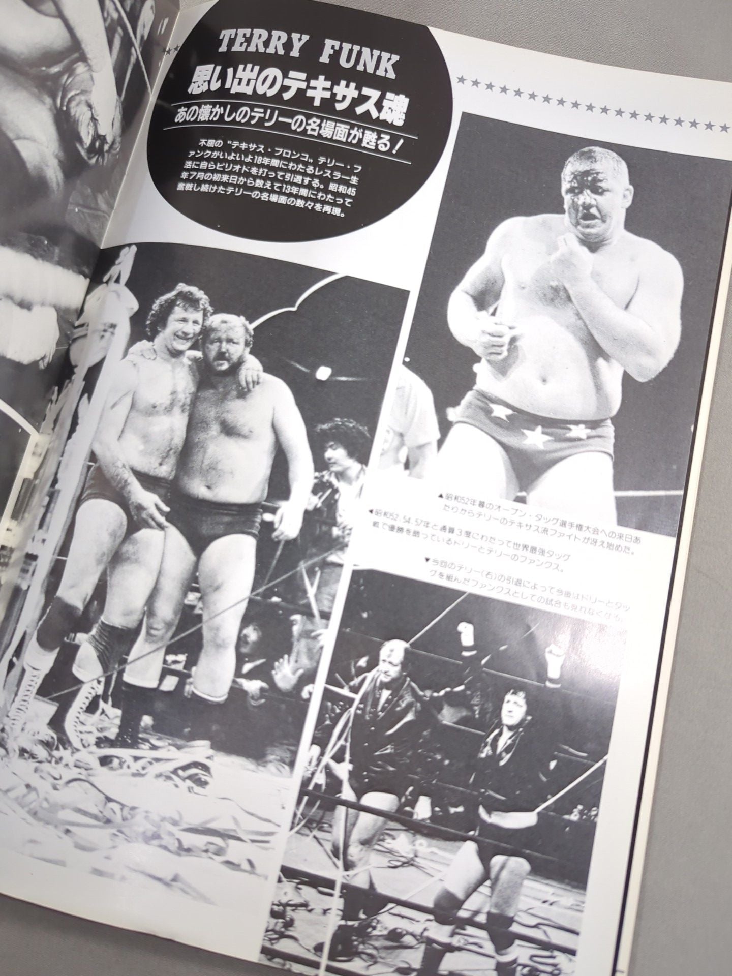 83 Grand Champion Carnival III. Terry Funk Goodbye Series