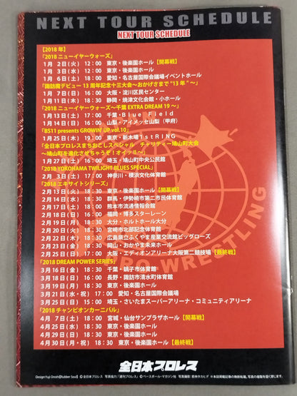 2017世界最強タッグ決定リーグ戦～旗揚げ45周年記念シリーズ～