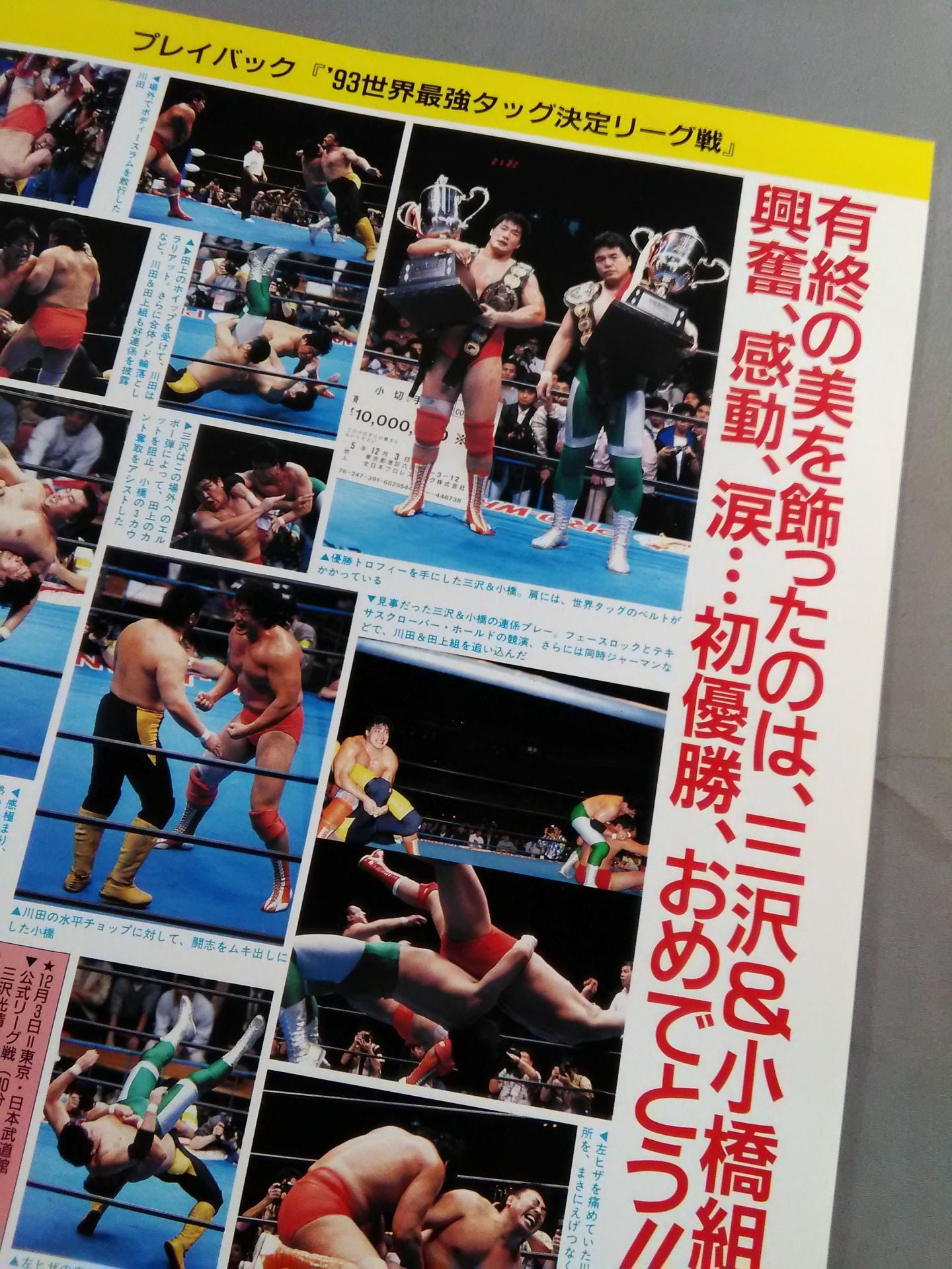 94 New Year Giant Series / Yingchun