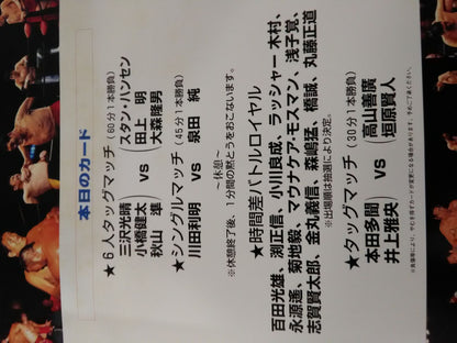 ジャイアント馬場一周忌追悼興行