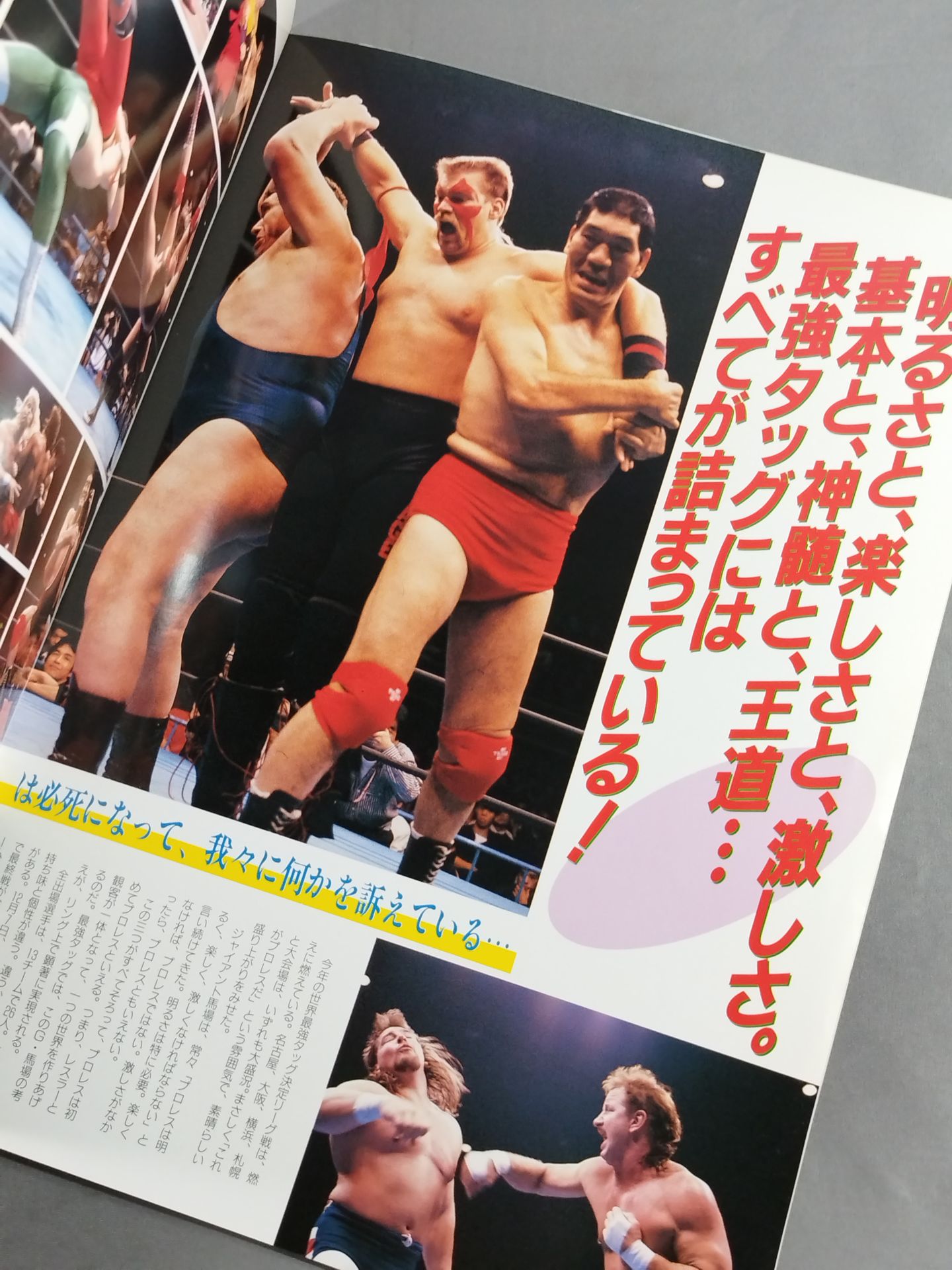 90世界最強タッグ決定リーグ戦 / ザ・武道館