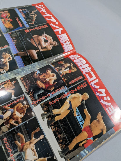 ジャイアント馬場七回忌追善興行