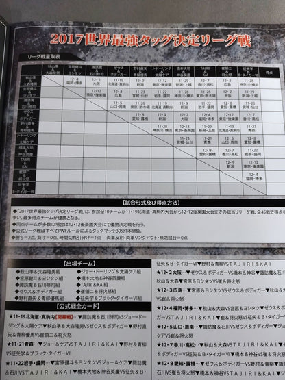 2017世界最強タッグ決定リーグ戦～旗揚げ45周年記念シリーズ～