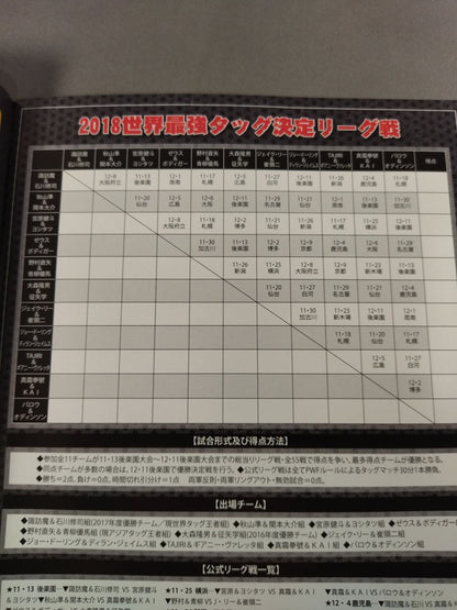 2018世界最強タッグ決定リーグ戦