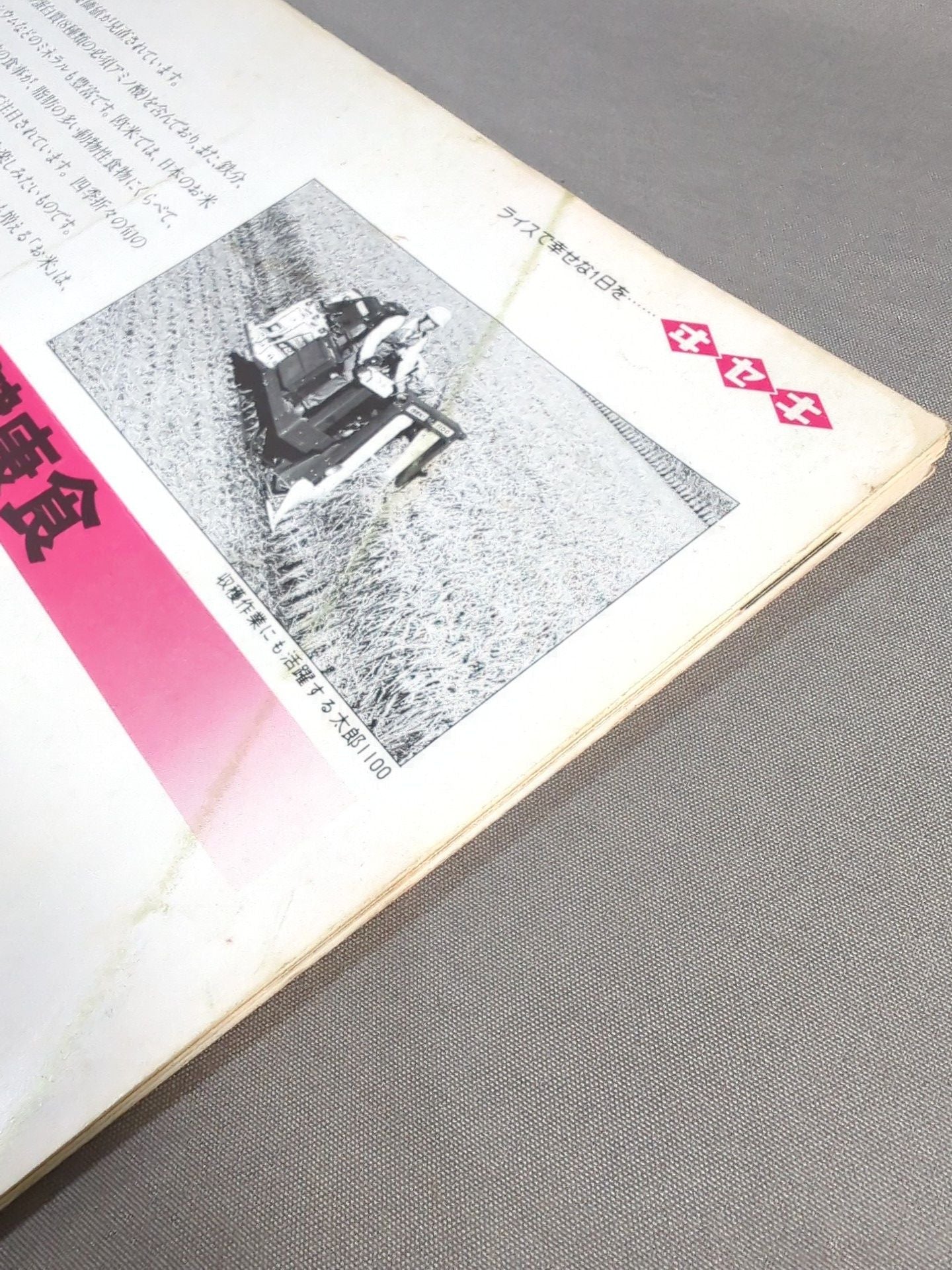 79ブラックパワーシリーズ