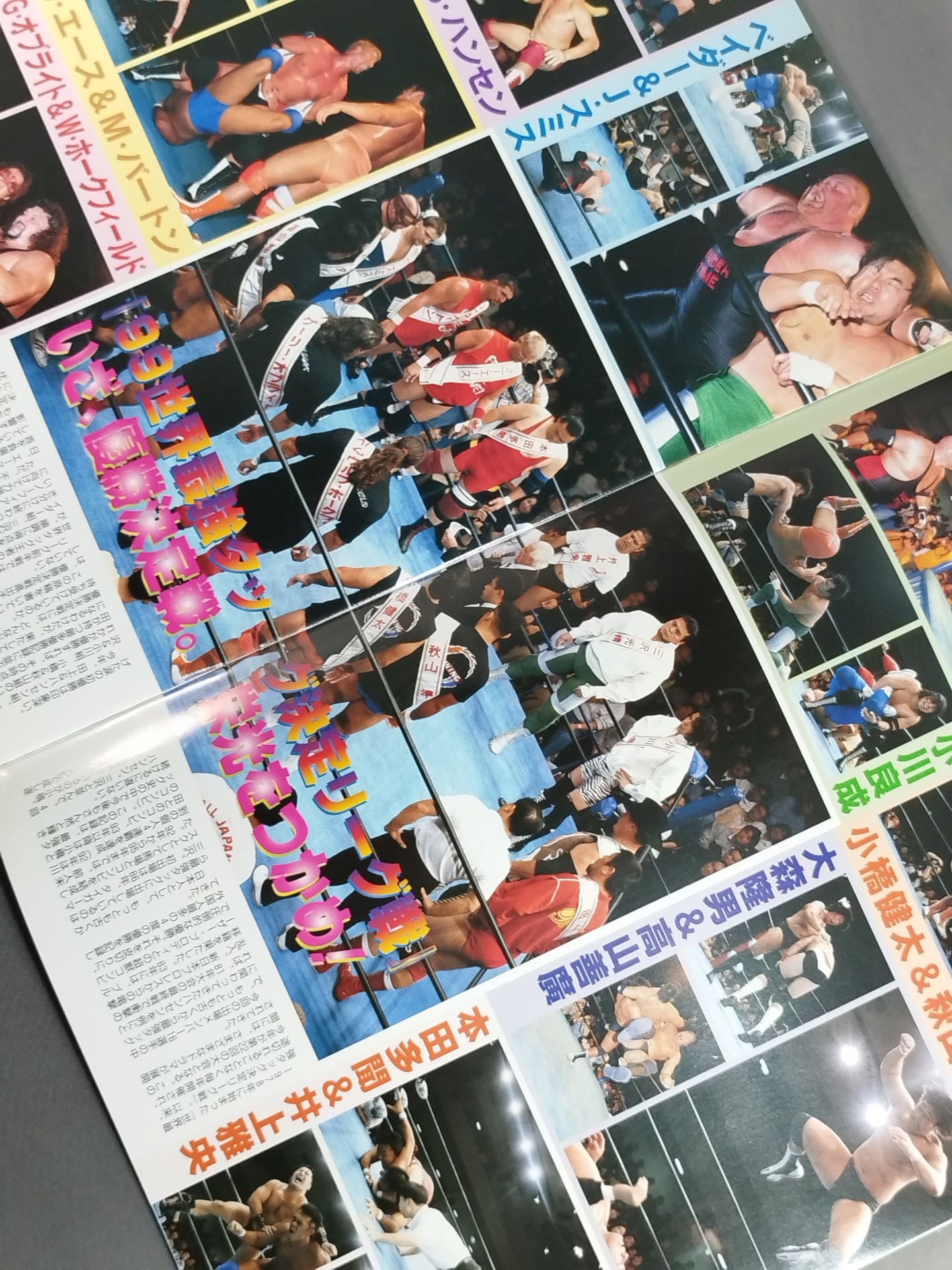 ★ ★ 99 Real World Tag League / 1999 YEAR BOOK