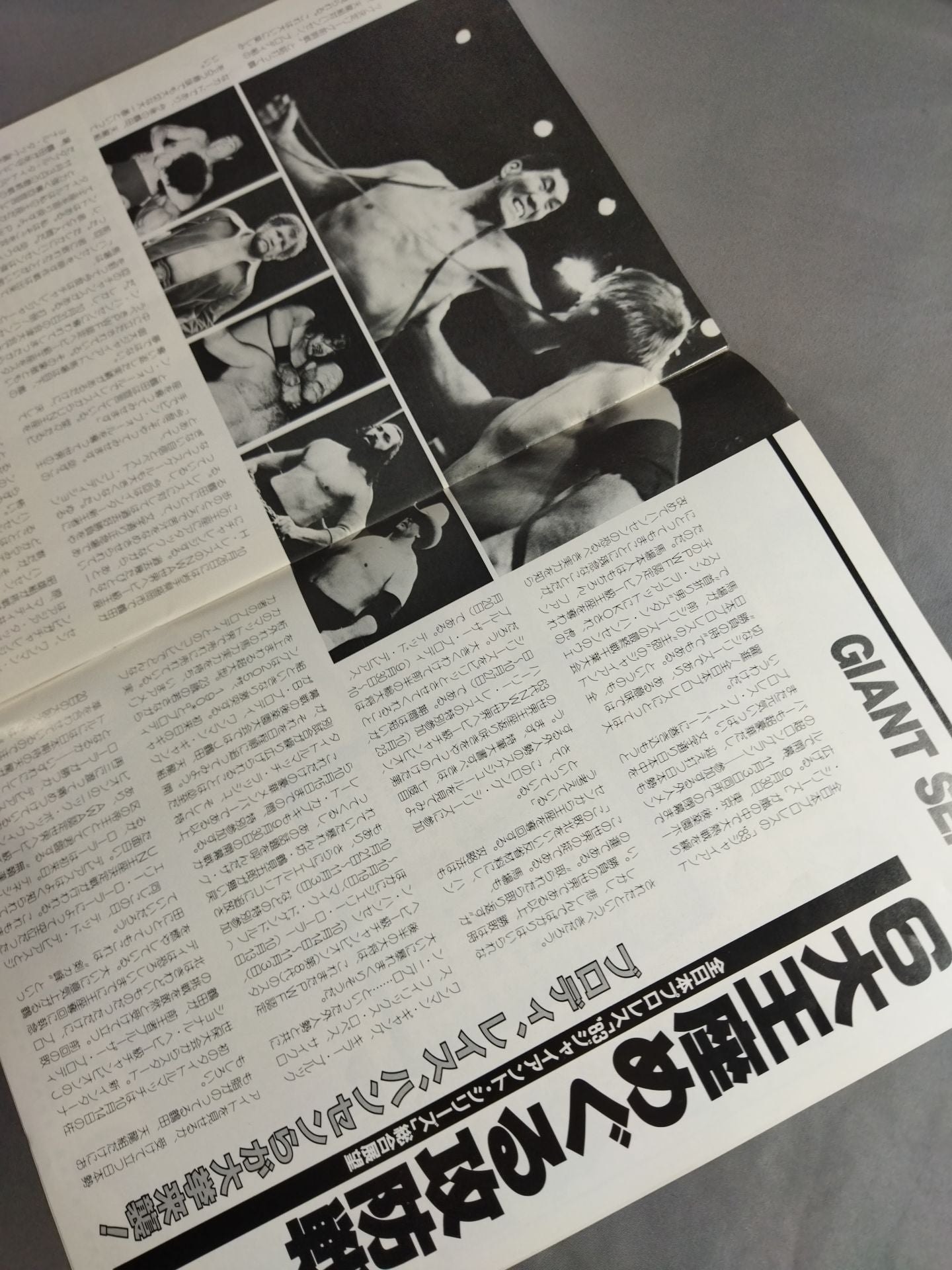 83ジャイアント・シリーズ