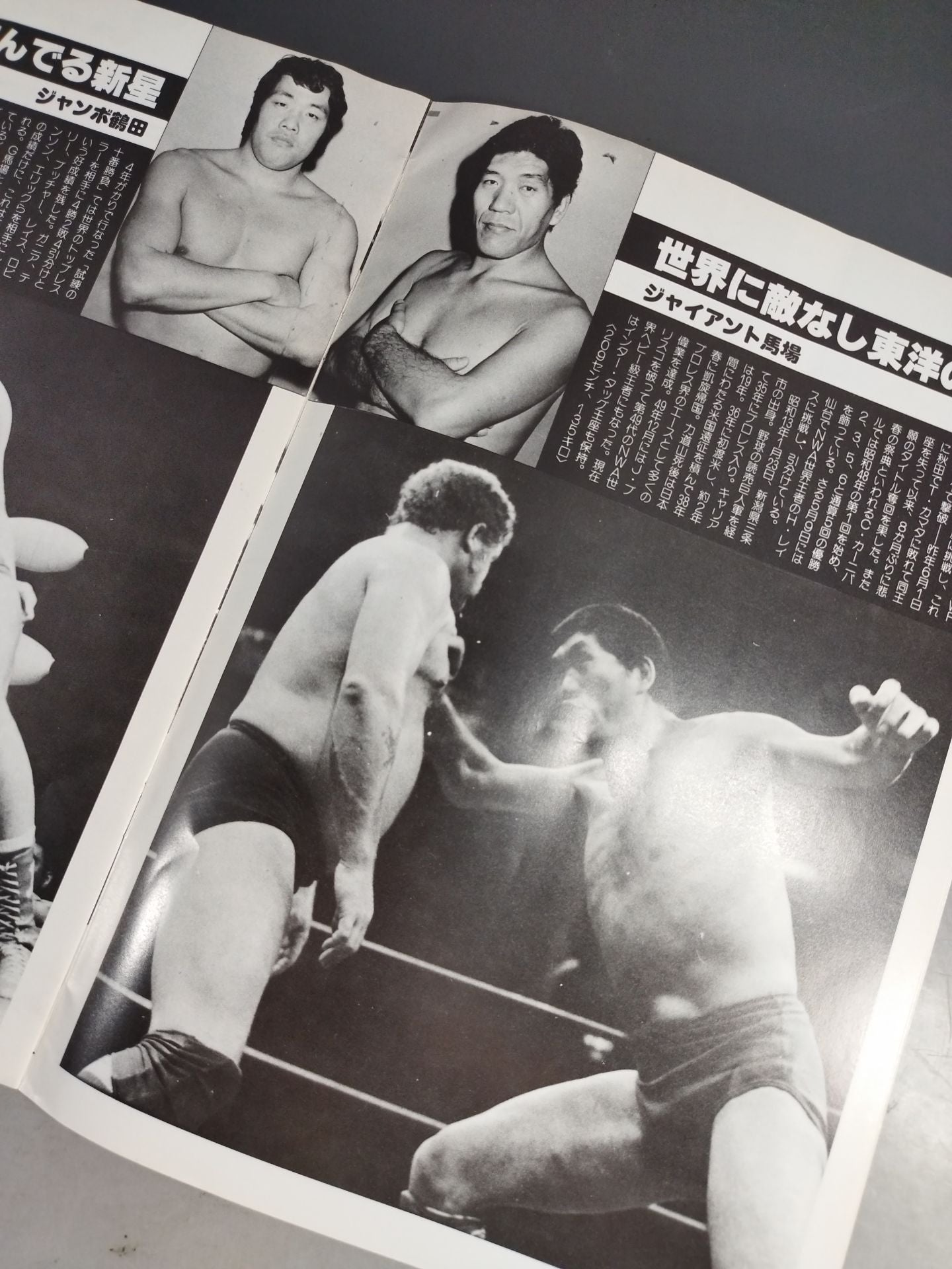 79サマーアクション・シリーズ