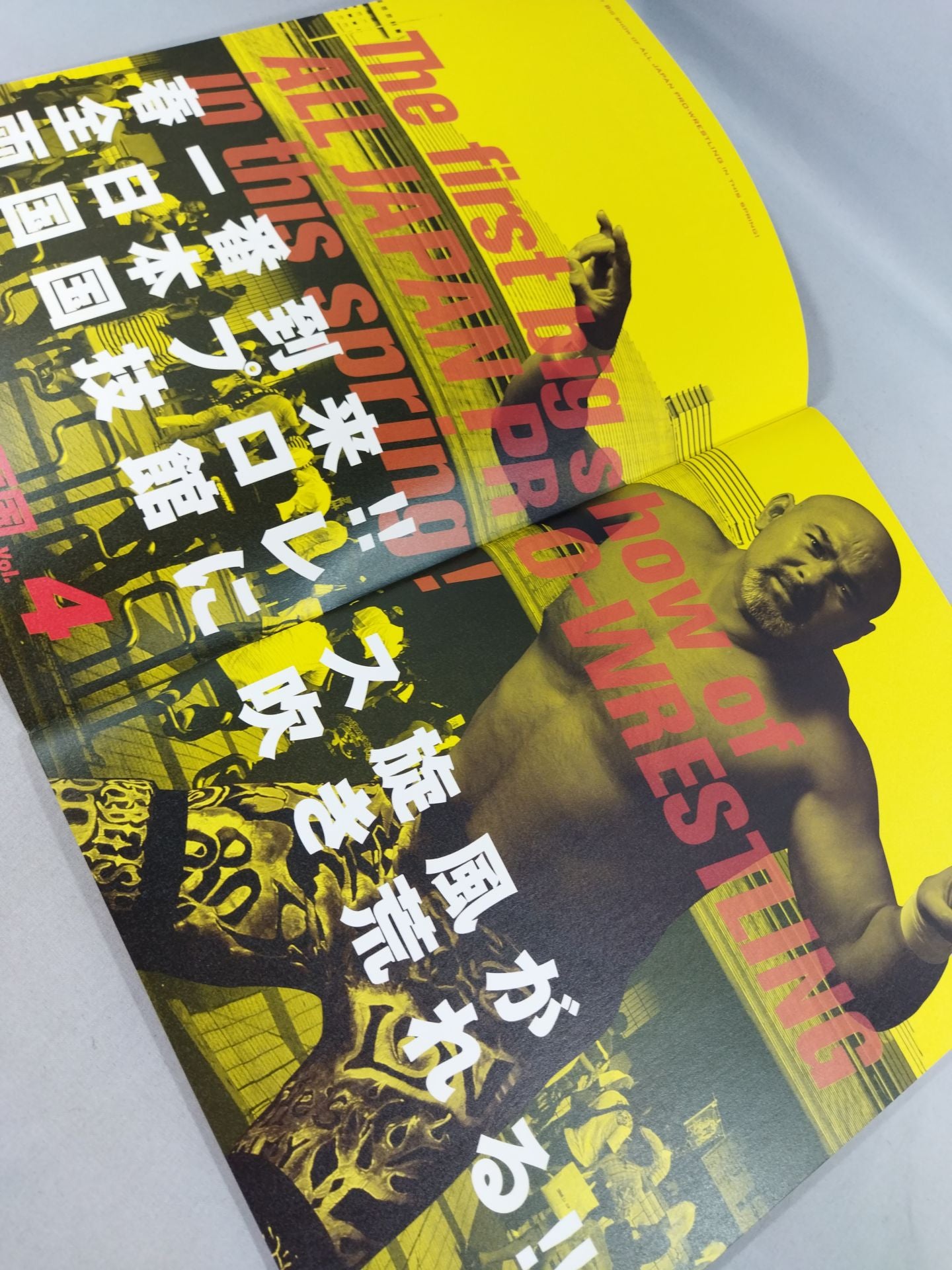 ★ Dory Funk Jr. . retirement match ★ Pro Wrestling  LOVE in Ryogoku  vol.4