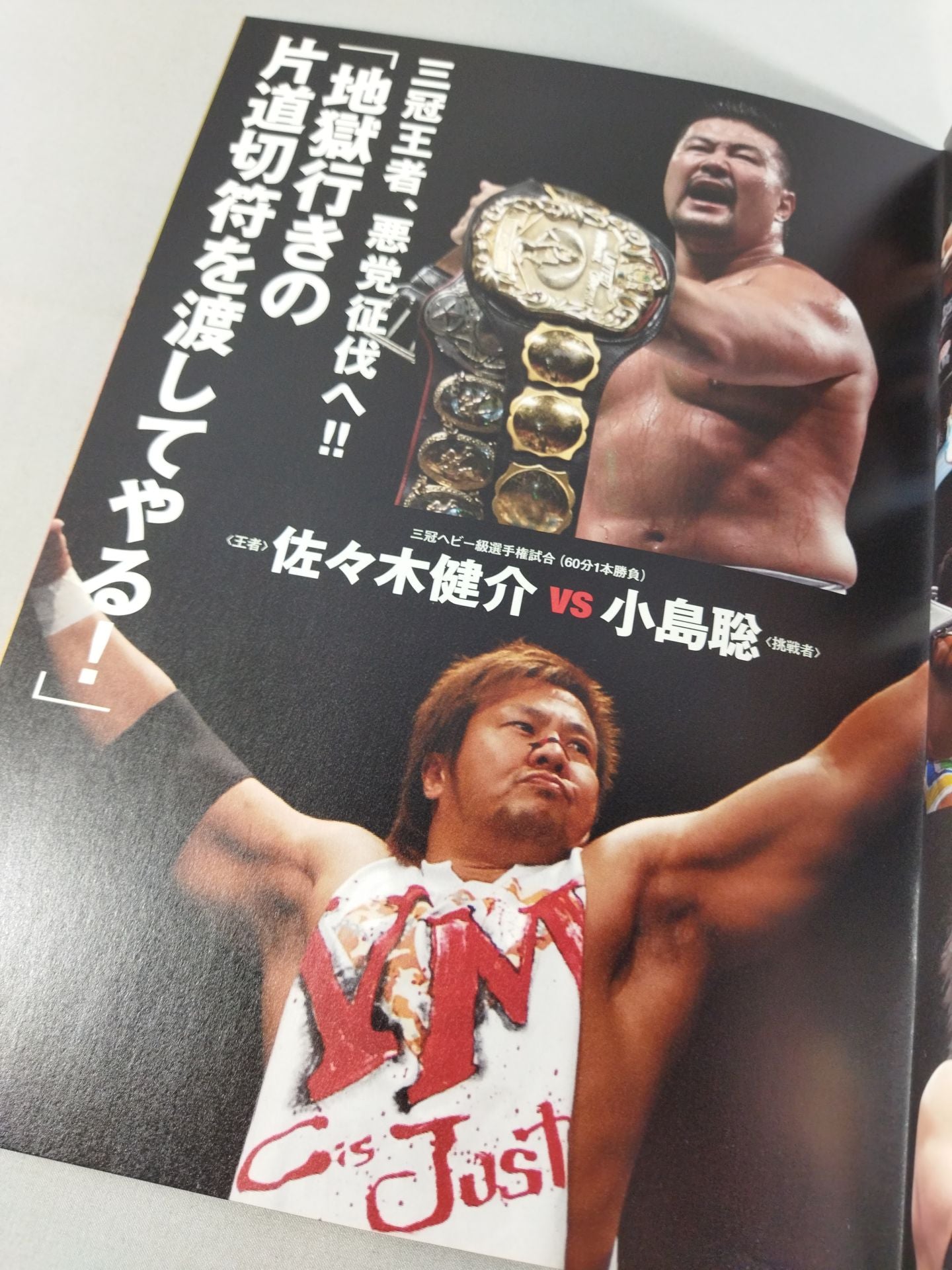 ★ Dory Funk Jr. . retirement match ★ Pro Wrestling  LOVE in Ryogoku  vol.4