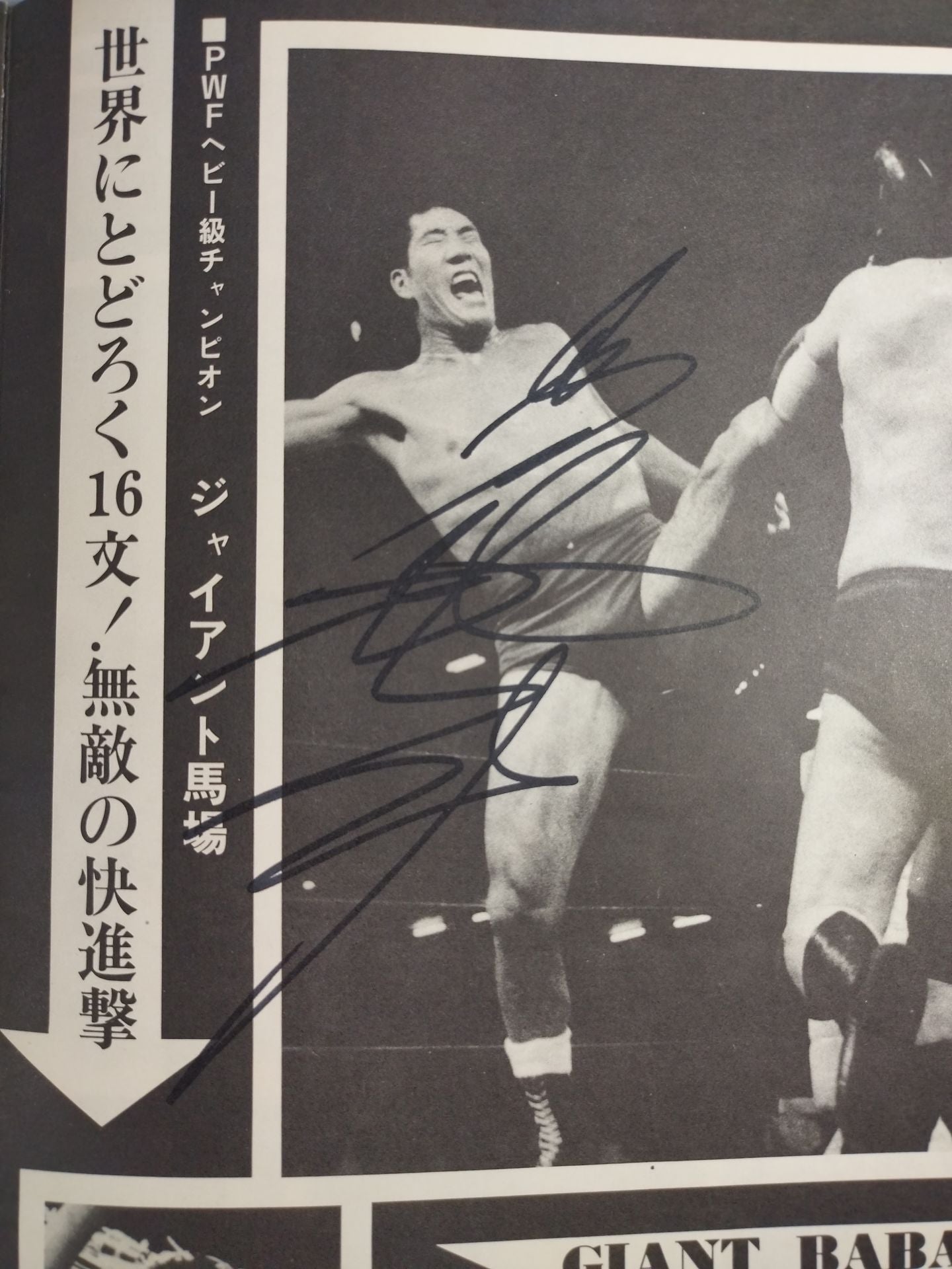 ジャイアント馬場 直筆サイン入りパンフレット 2選手直筆サイン入り】74ジャイアント・シリーズ – 闘道館