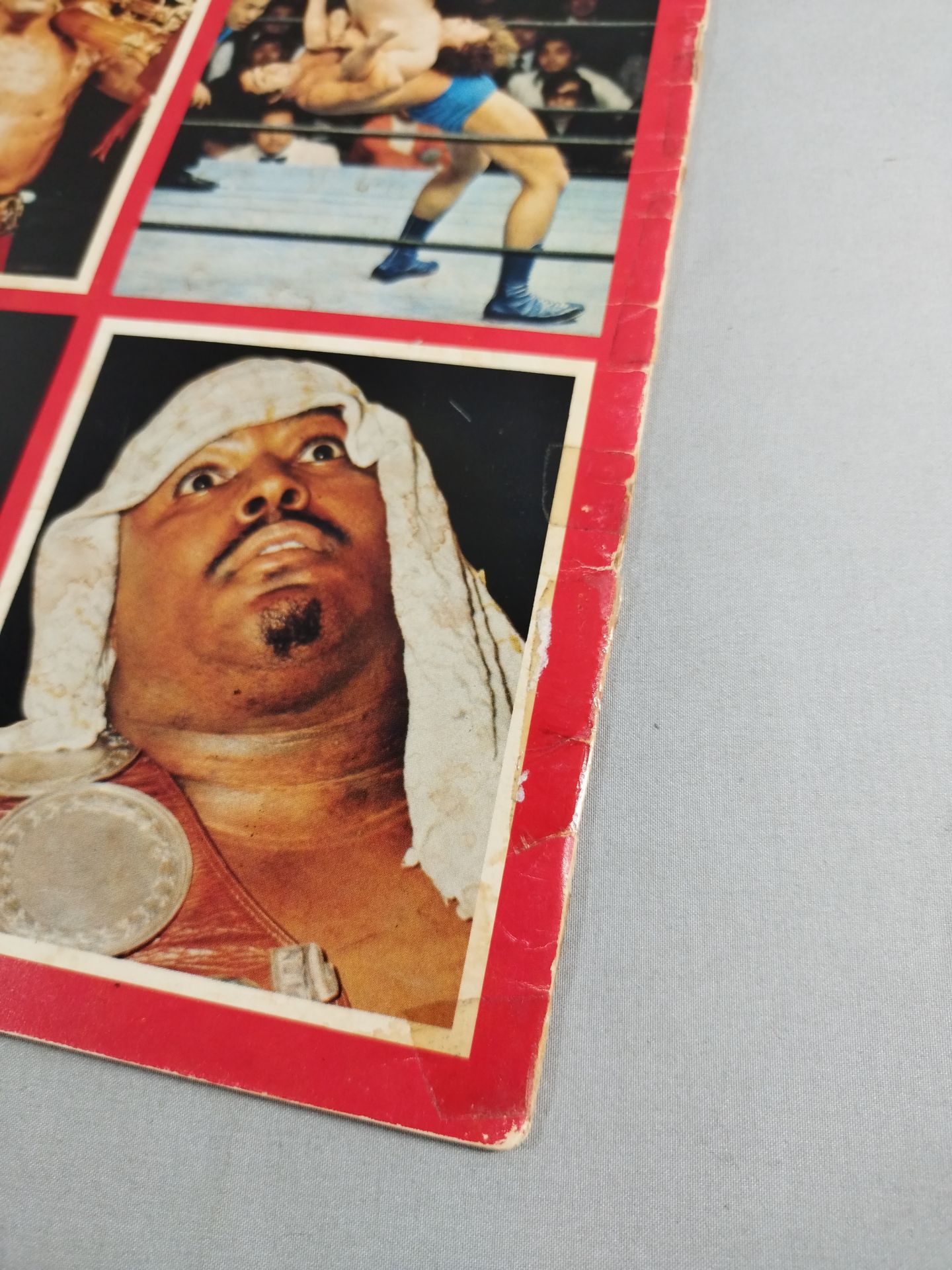 2選手直筆サイン入り】74ジャイアント・シリーズ – 闘道館