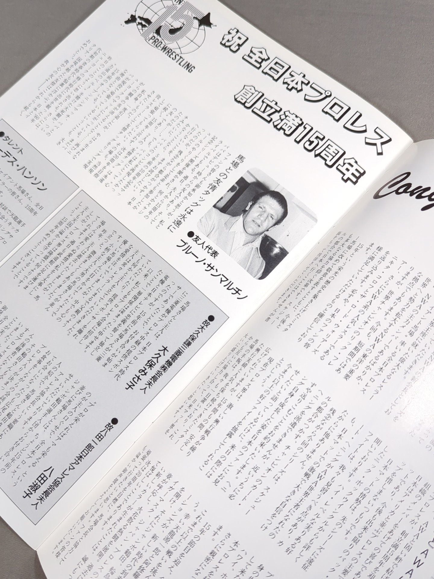 87ジャイアント・シリーズ / 創立15周年記念