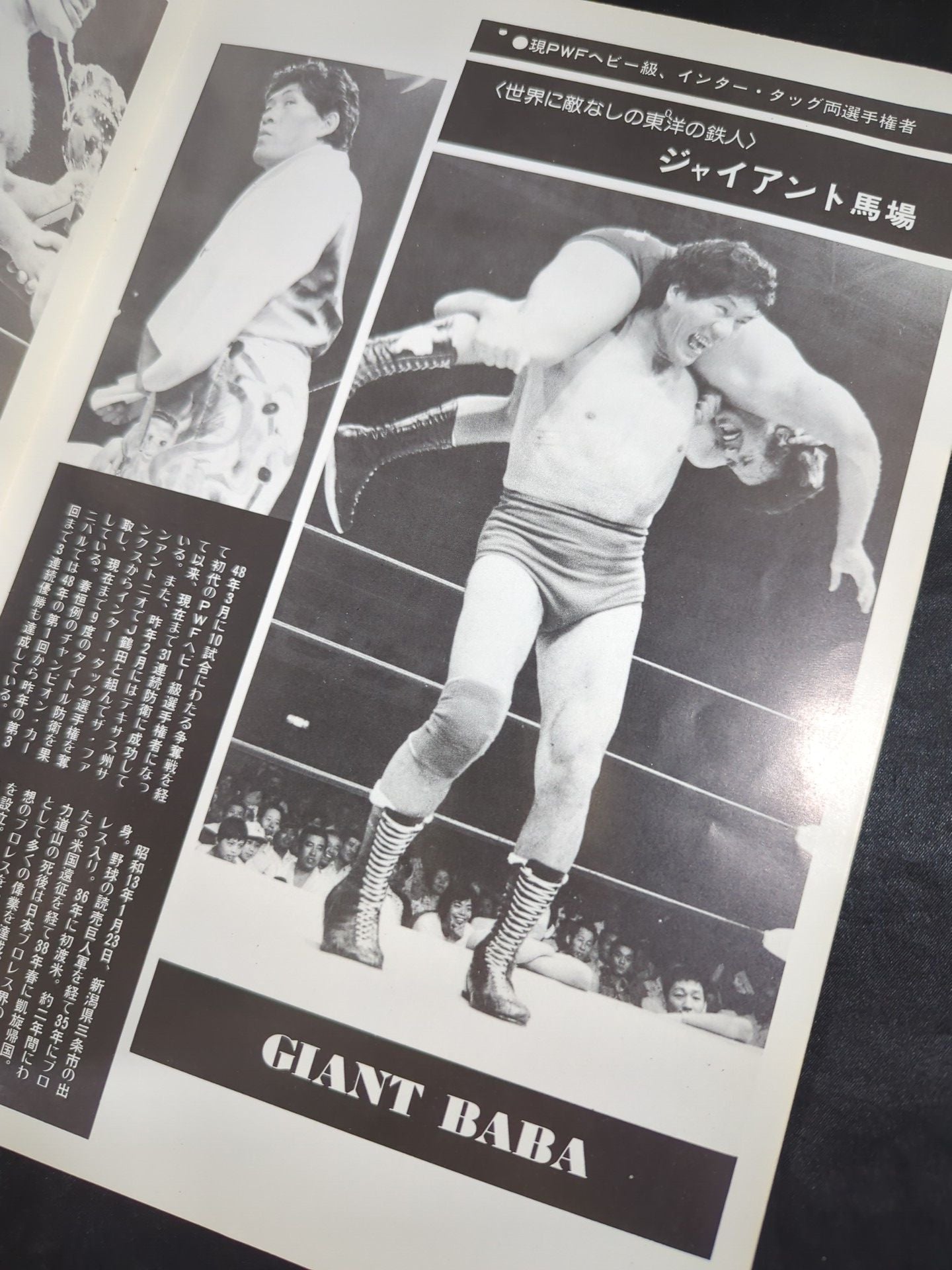 ★馬場vsブッチャー PWF戦★ 76ジャイアント・シリーズ