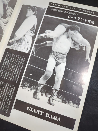 ★馬場vsブッチャー PWF戦★ 76ジャイアント・シリーズ