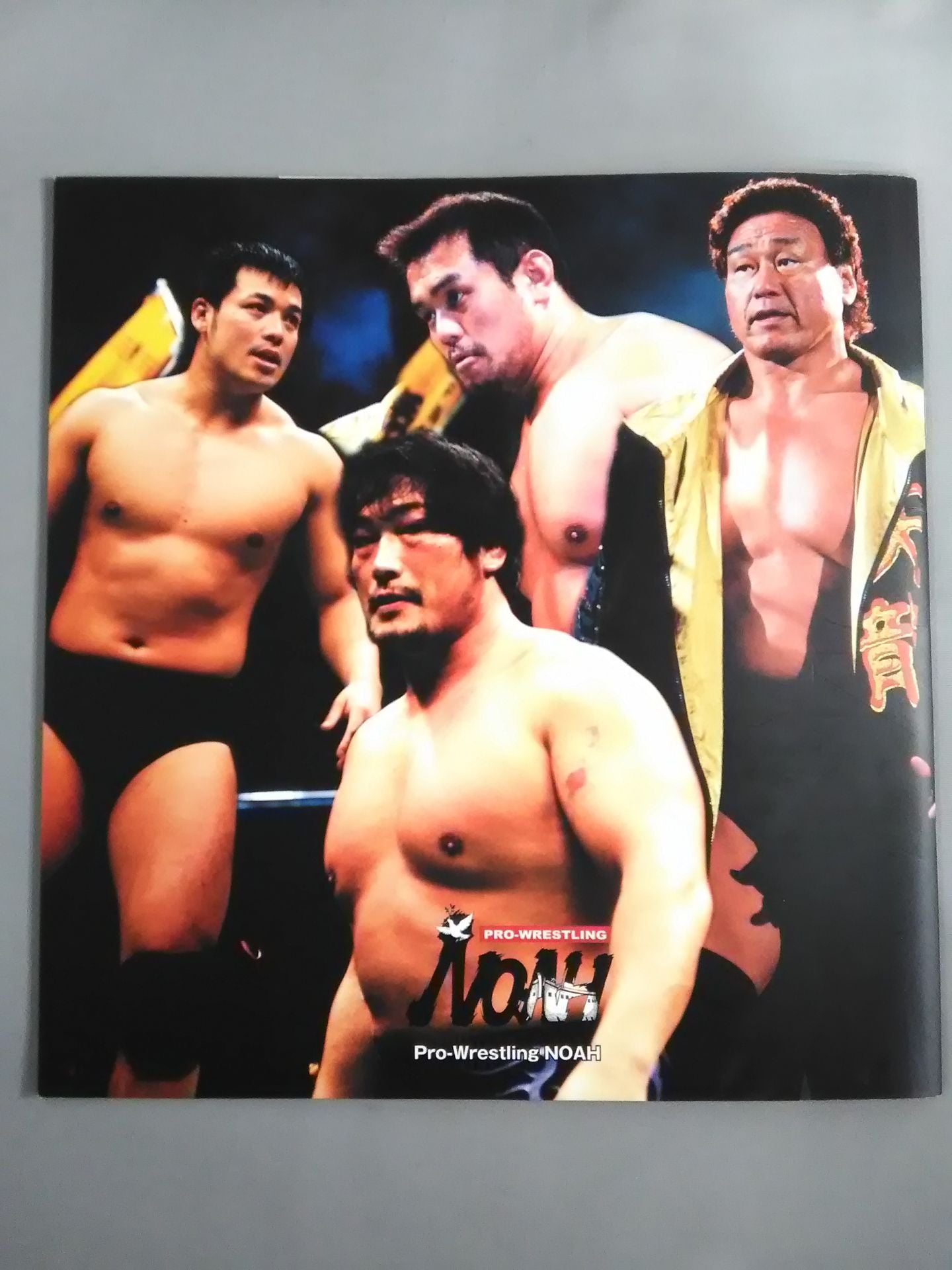 Encountering Navigation'05 / Budokan Tournament