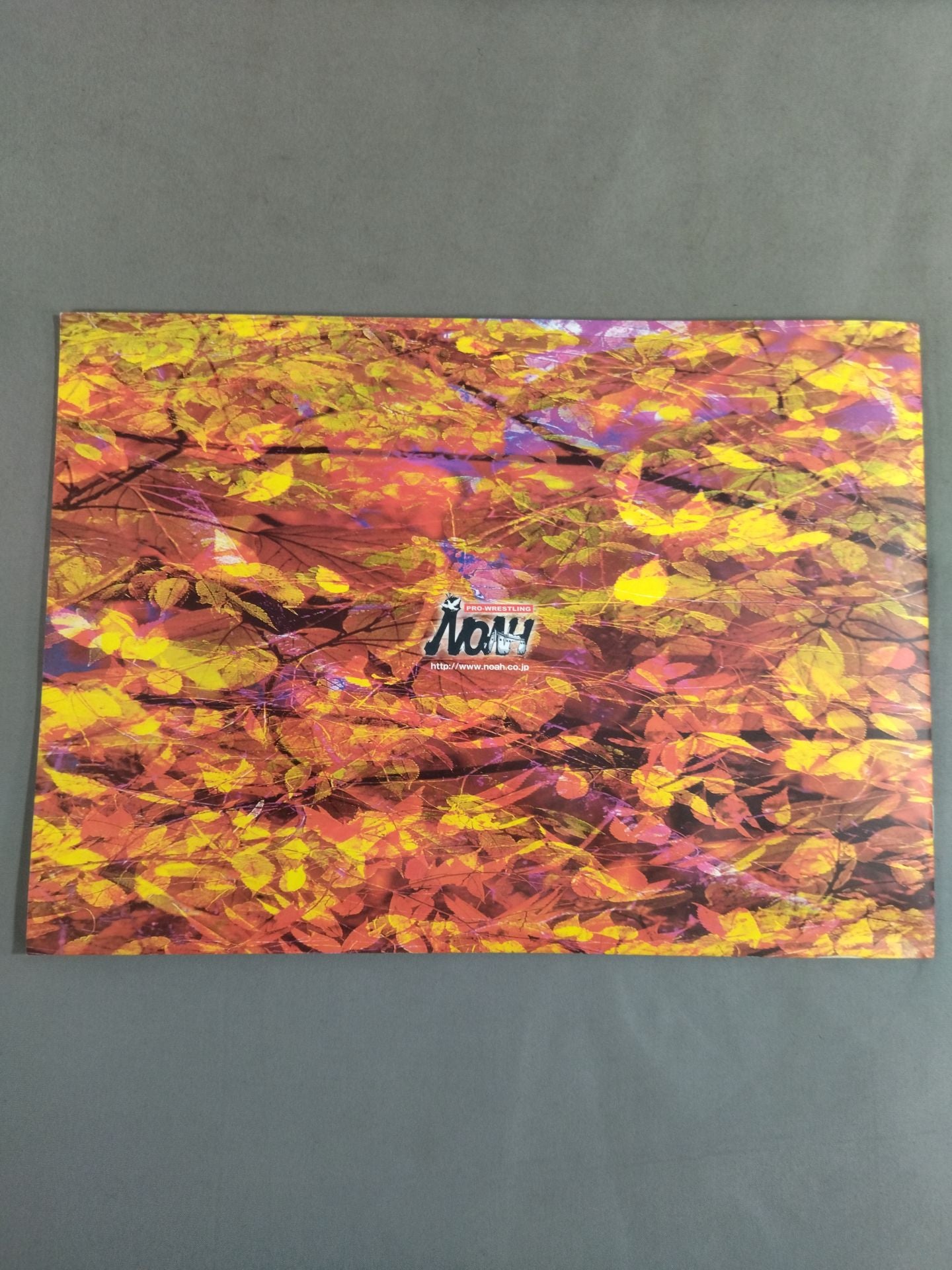 Autumn Navigation’07