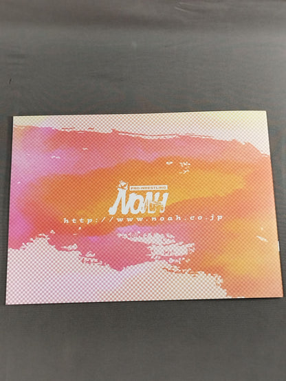 [2 fighters hand signed autograph 】SPRING NAVIGATION’06