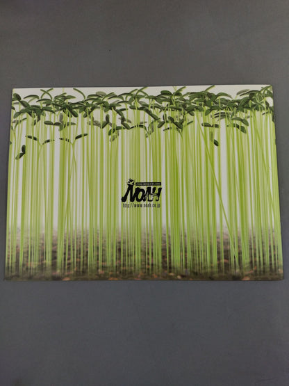 2007 Spring Navigation
