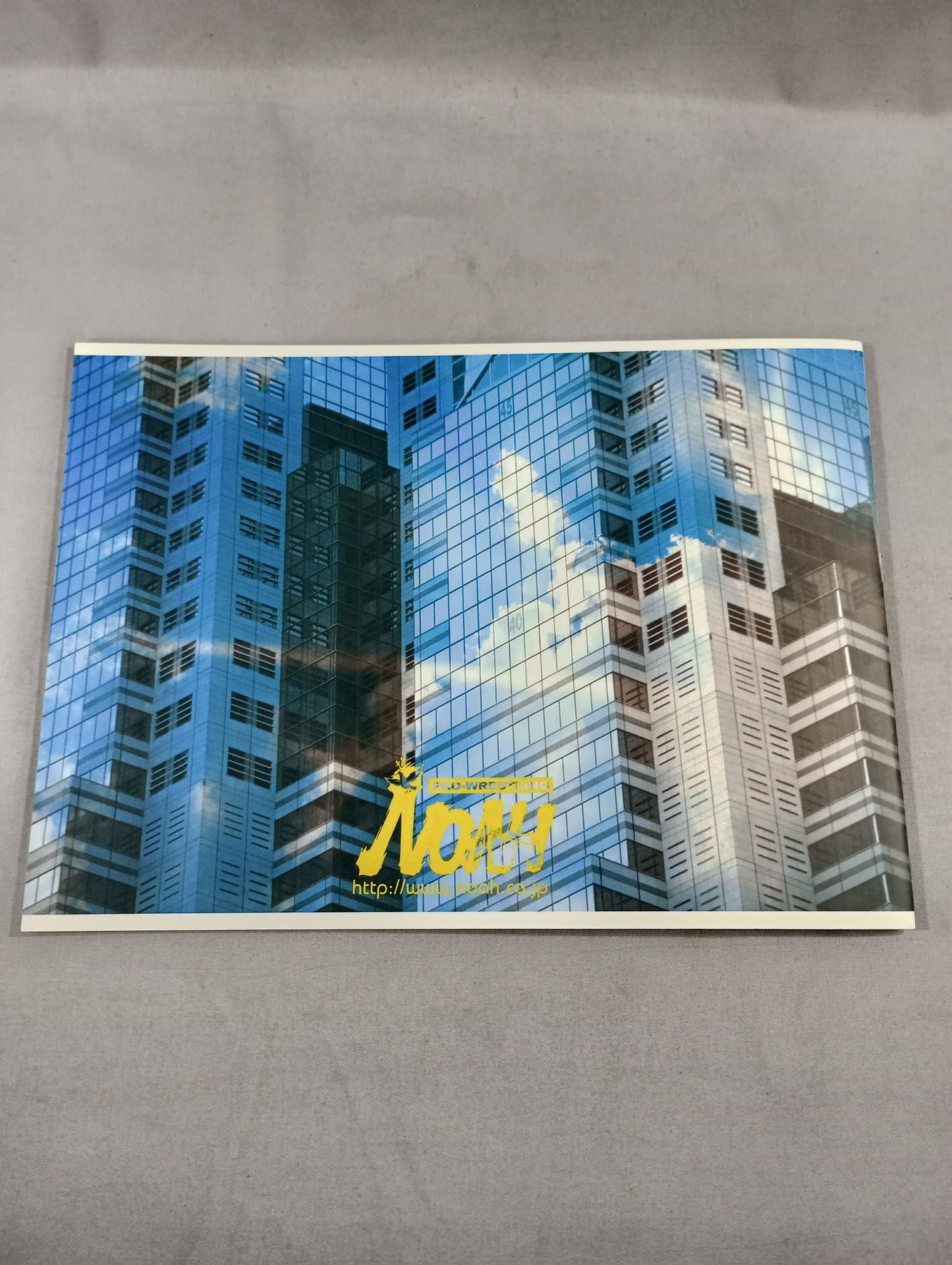 [4 fighters hand signed autograph 】SHINY NAVIGATION’06