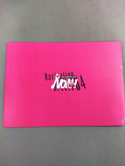 Navigation with Breeze’04