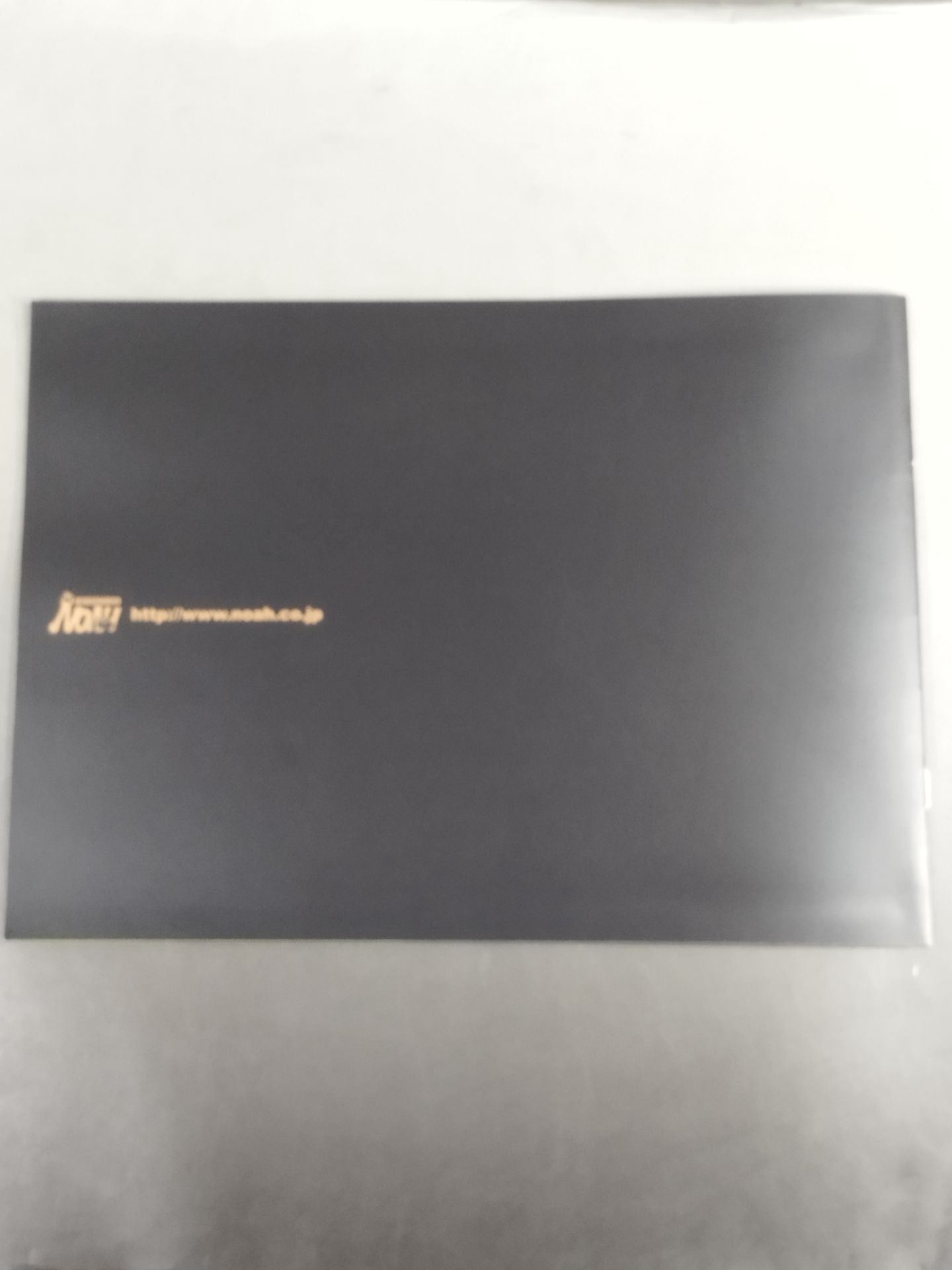 ★優勝決定戦★ 第4回 日テレ杯争奪ジュニア・ヘビー級タッグリーグ戦