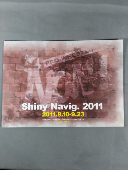 2011 Shiny Navig.