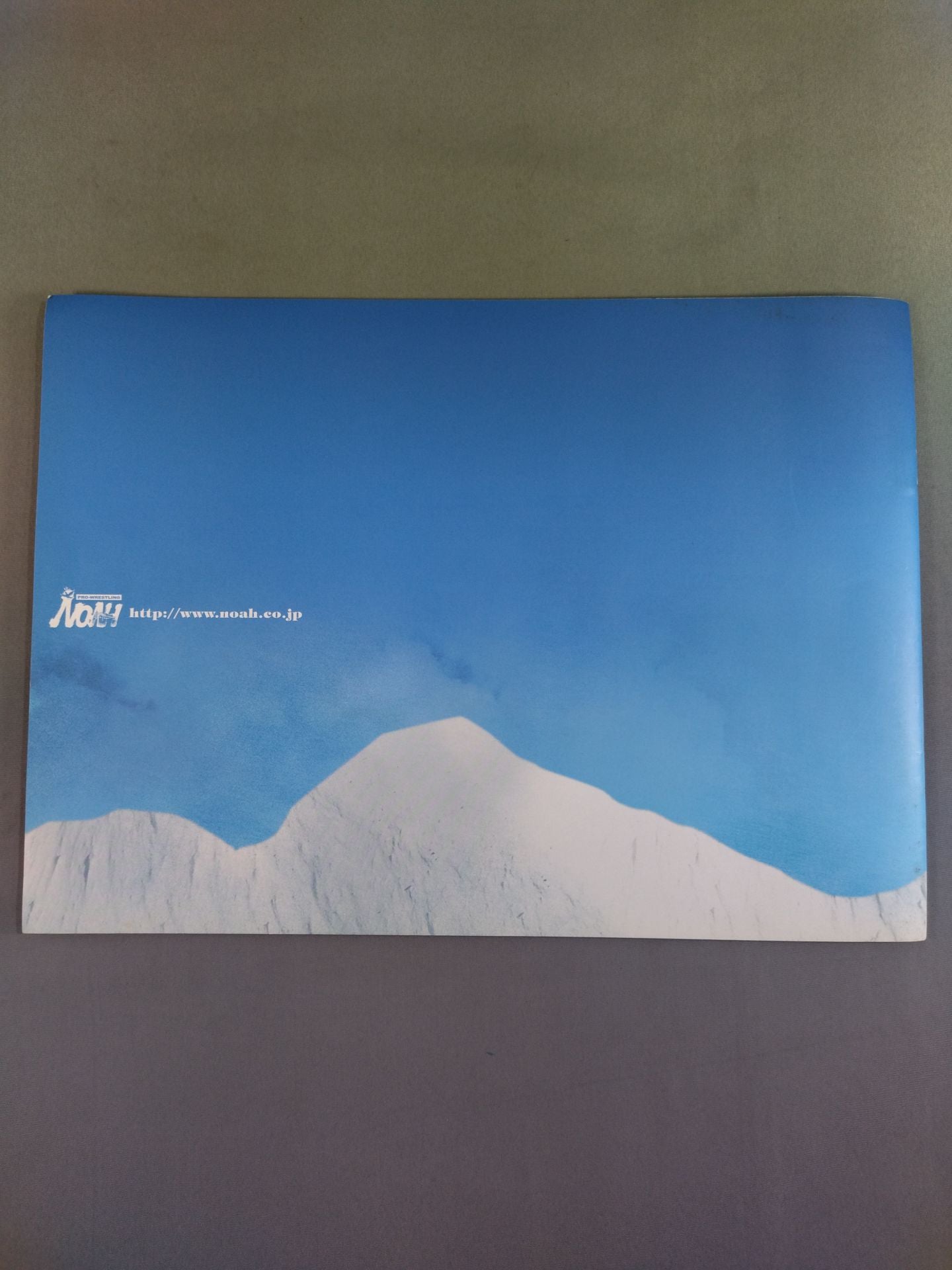 【With ticket stub 】2010 Winter Navig.