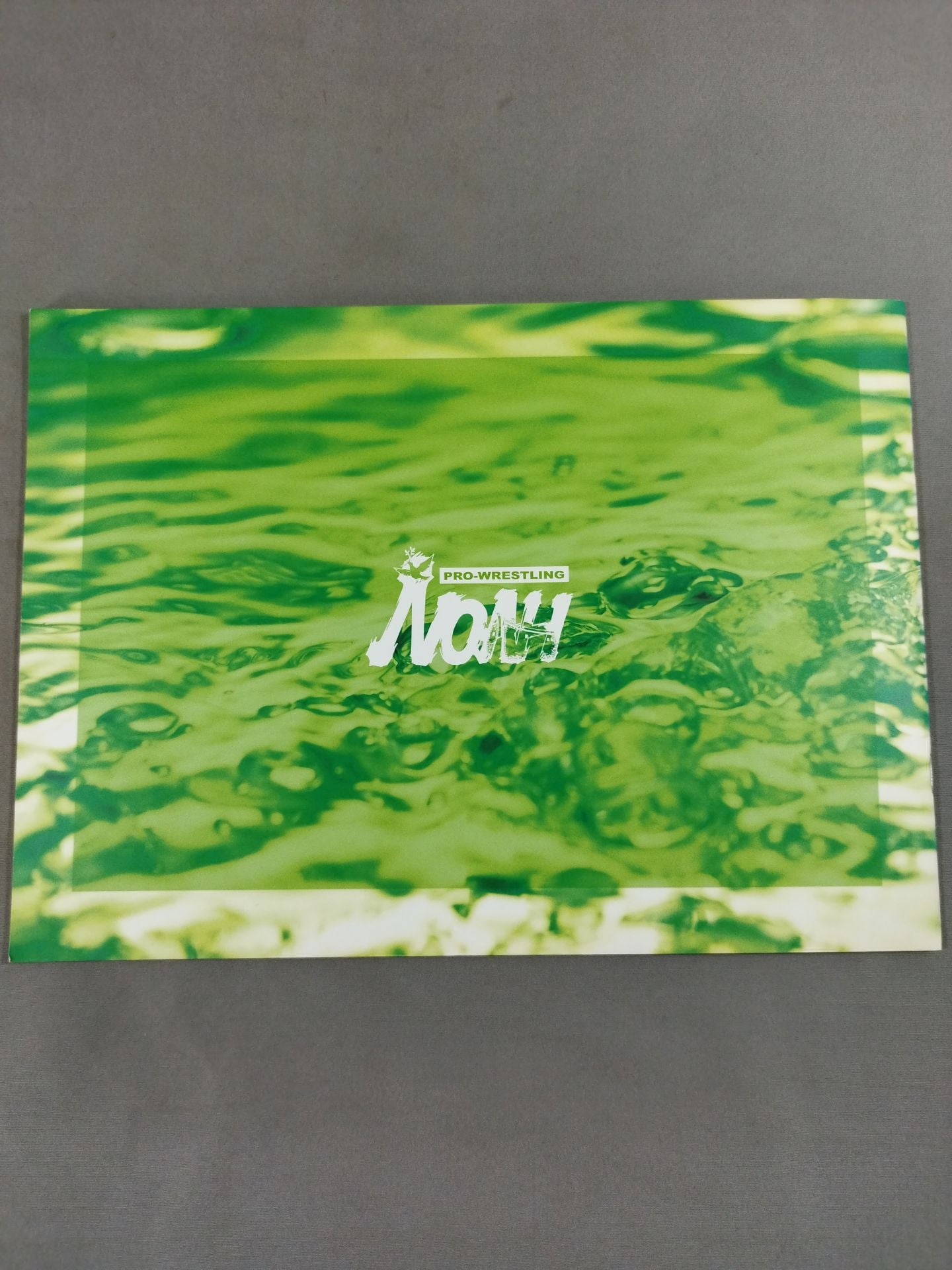 Navigation Against THE Current’04