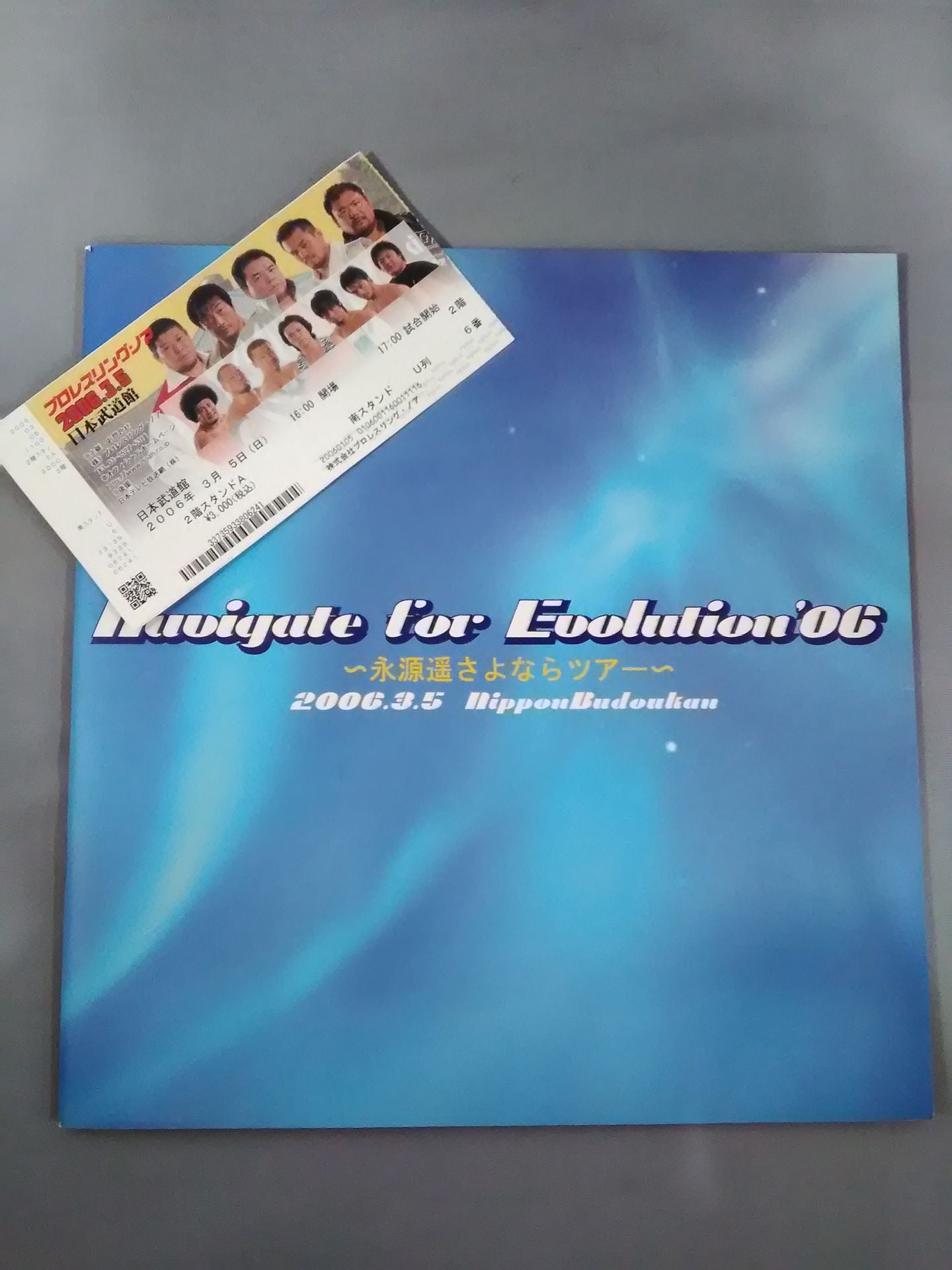 【ticket stub  included】Navigate for Evolution06~ Haruka Eigen  Goodbye Tour ~ [Budokan Tournament]