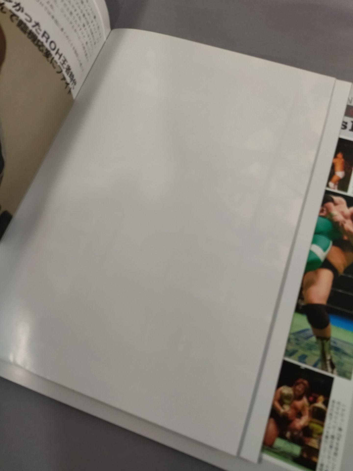 【ticket stub 付】2008 Global Tag League Match / GLOBAL TAG TEAM LEAGUE08