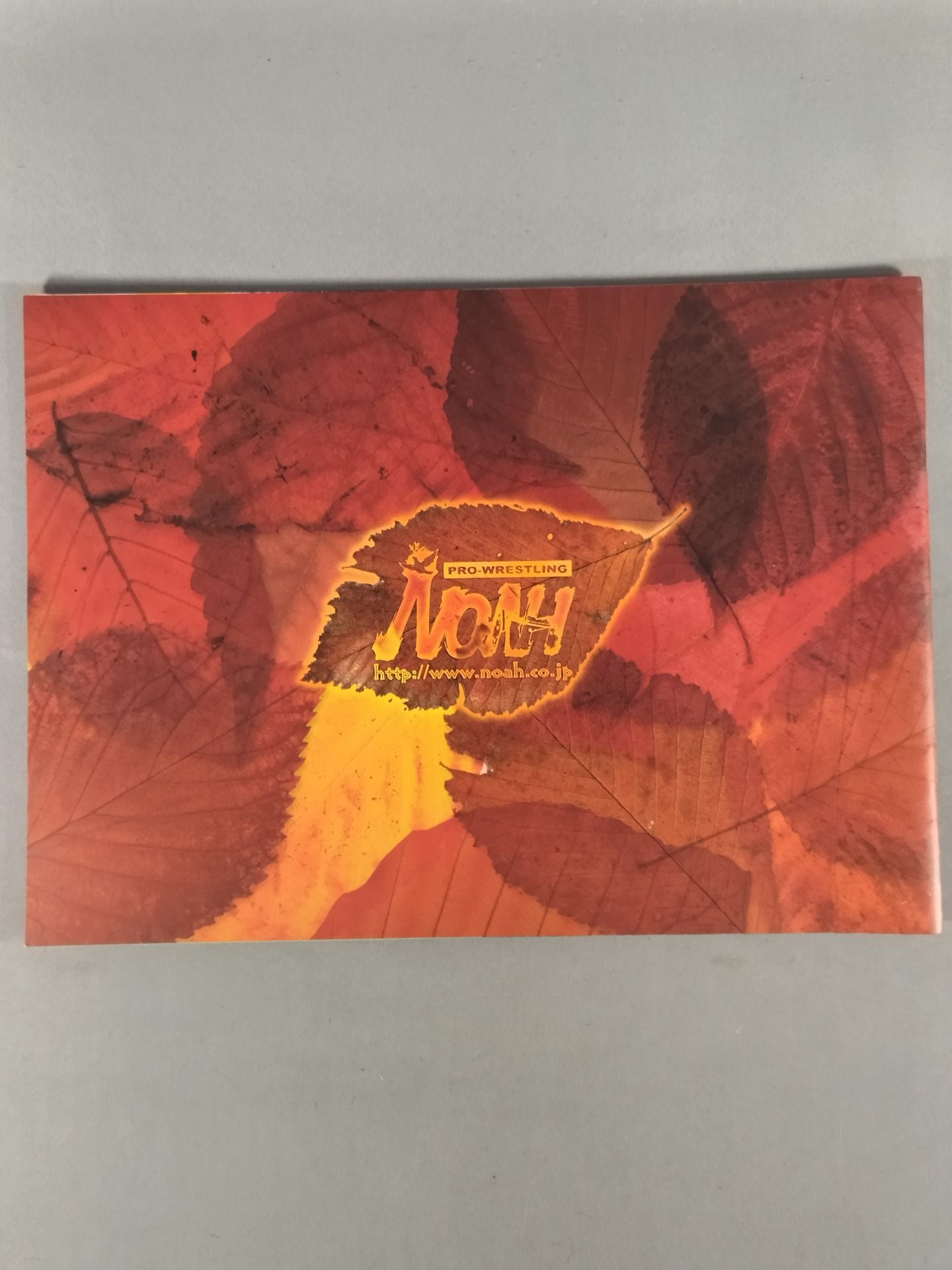 AUTUMN NAVIGATION’05