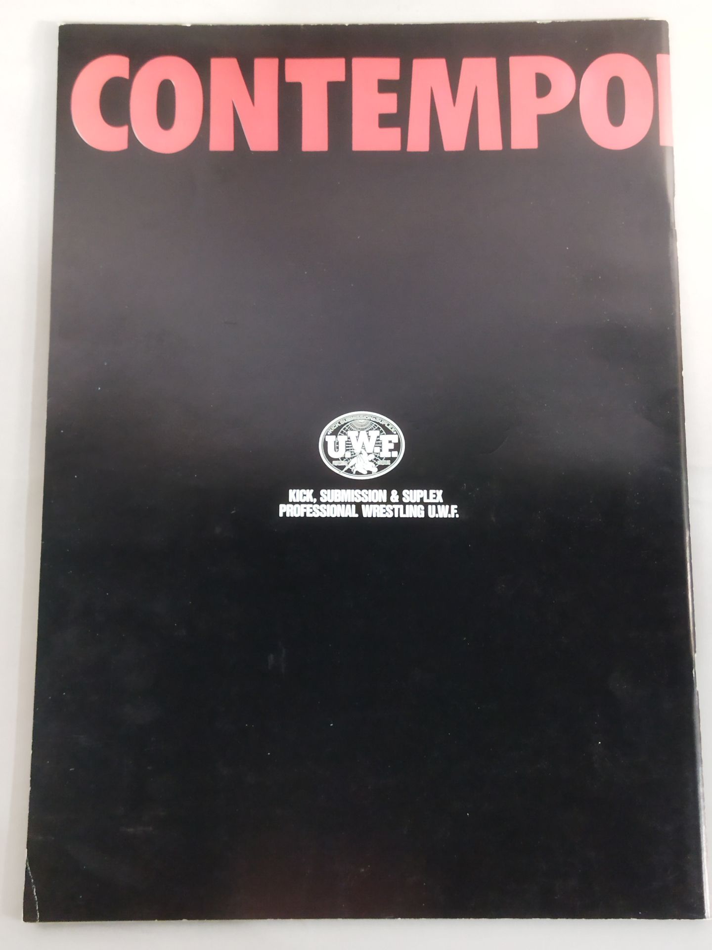 ★ Maeda vs Takada ★ HEART BEAT UWF / UWF DYNAMISM