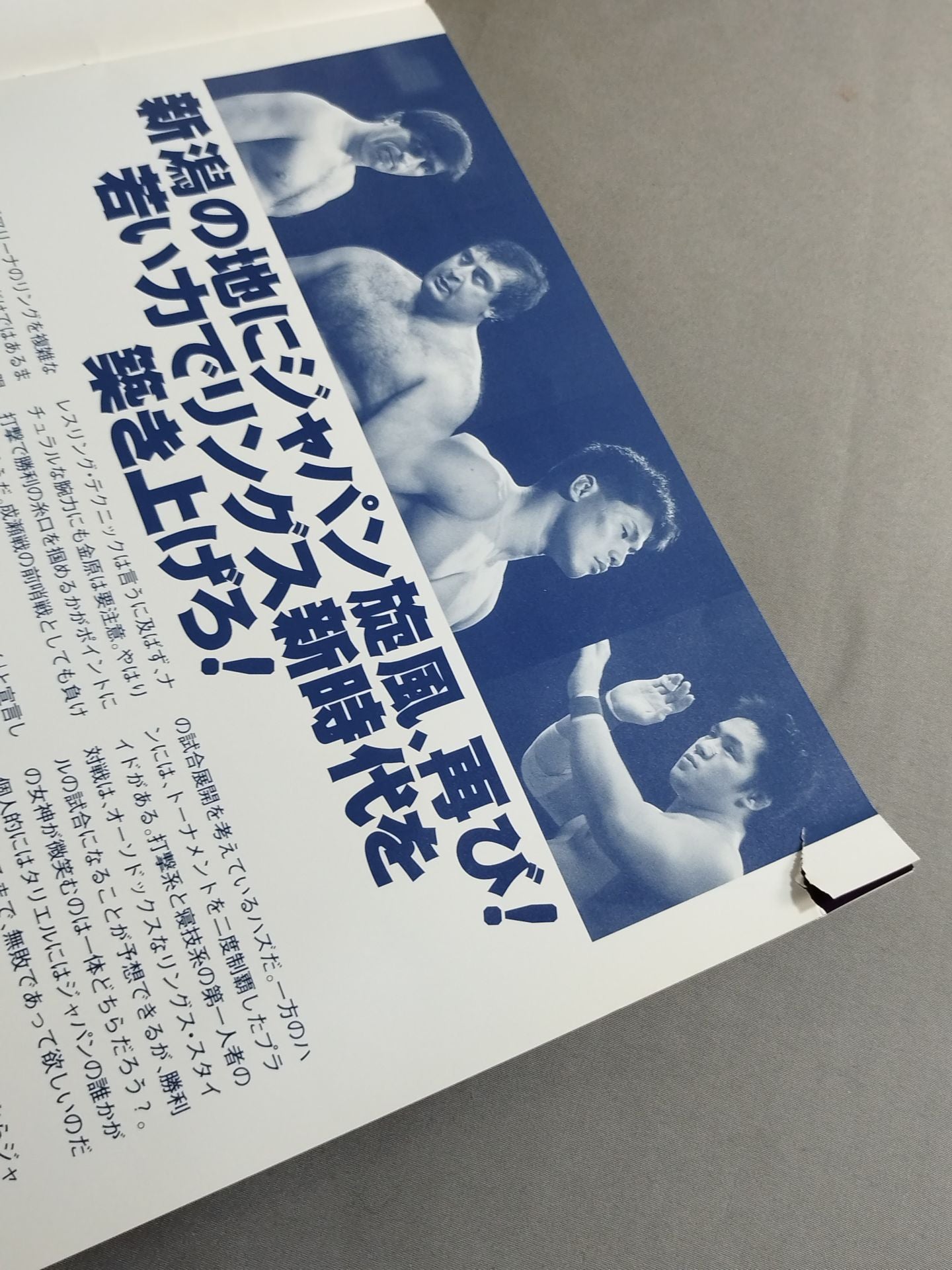 FIGHTING INTEGRATION 5th