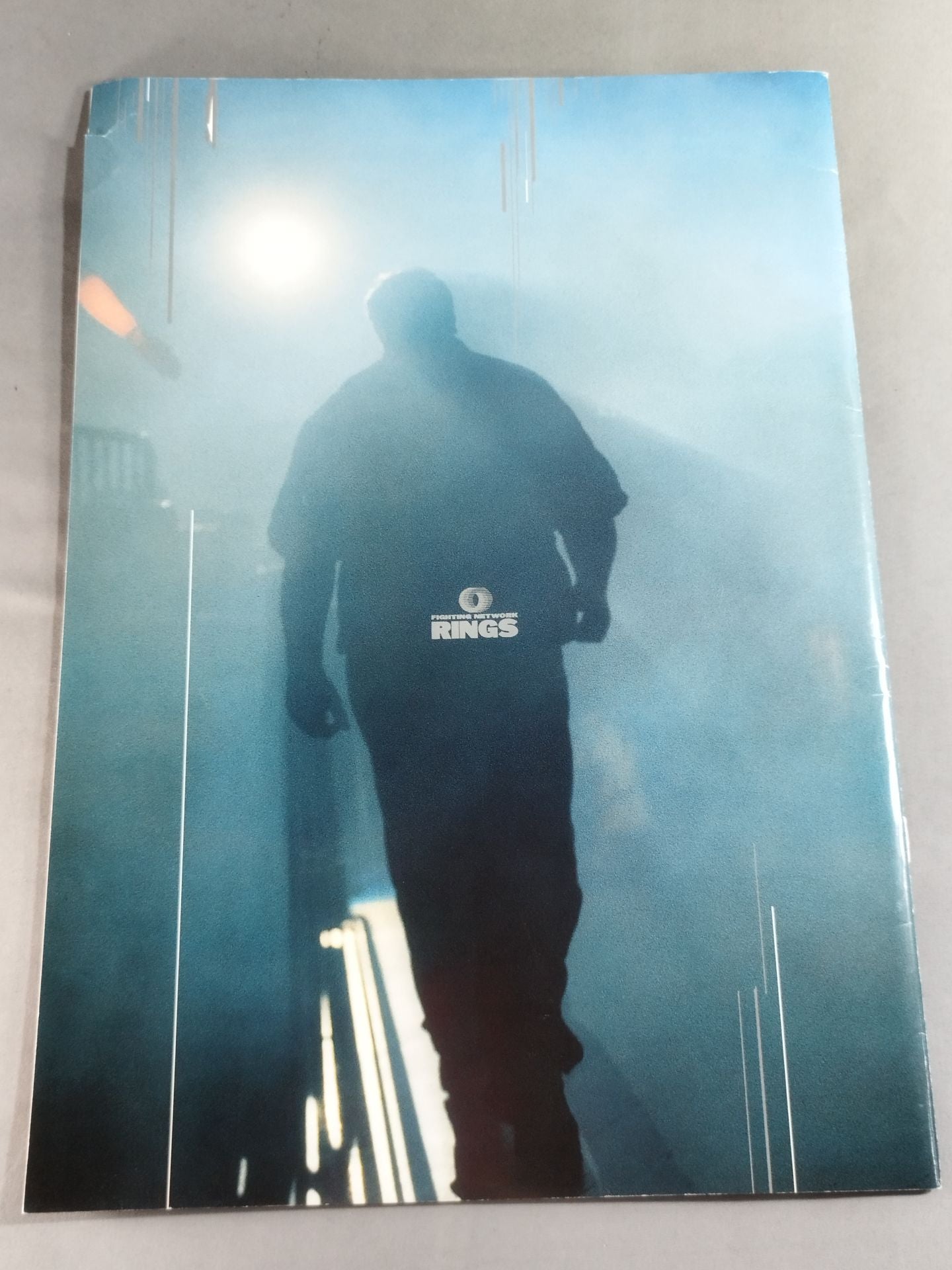 FIGHTING INTEGRATION 5th