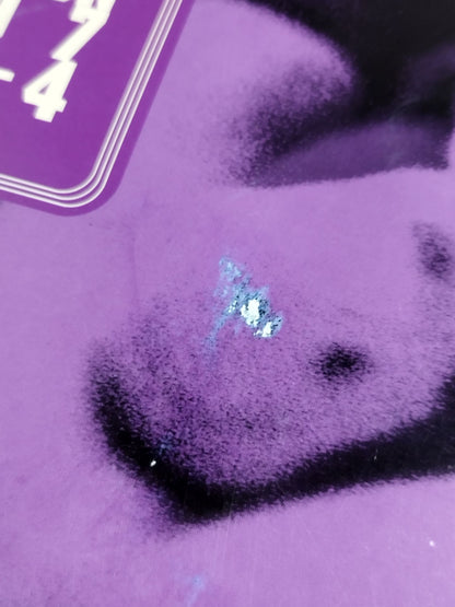 FIGHTING EXTENSION 1997 Vol.4