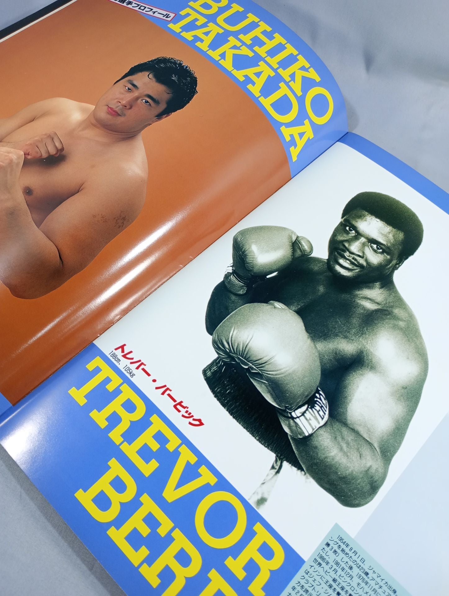 ☆高田延彦vsトレバー・バービック☆ 91格闘技世界一決定戦 – 闘道館