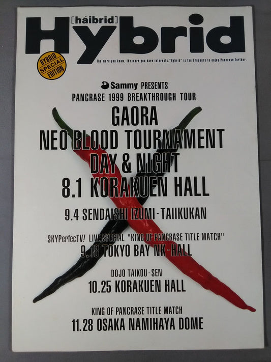 パンクラス / HYBRID SPECIAL EDITION 1999 BREAKTHROUGH TOUR