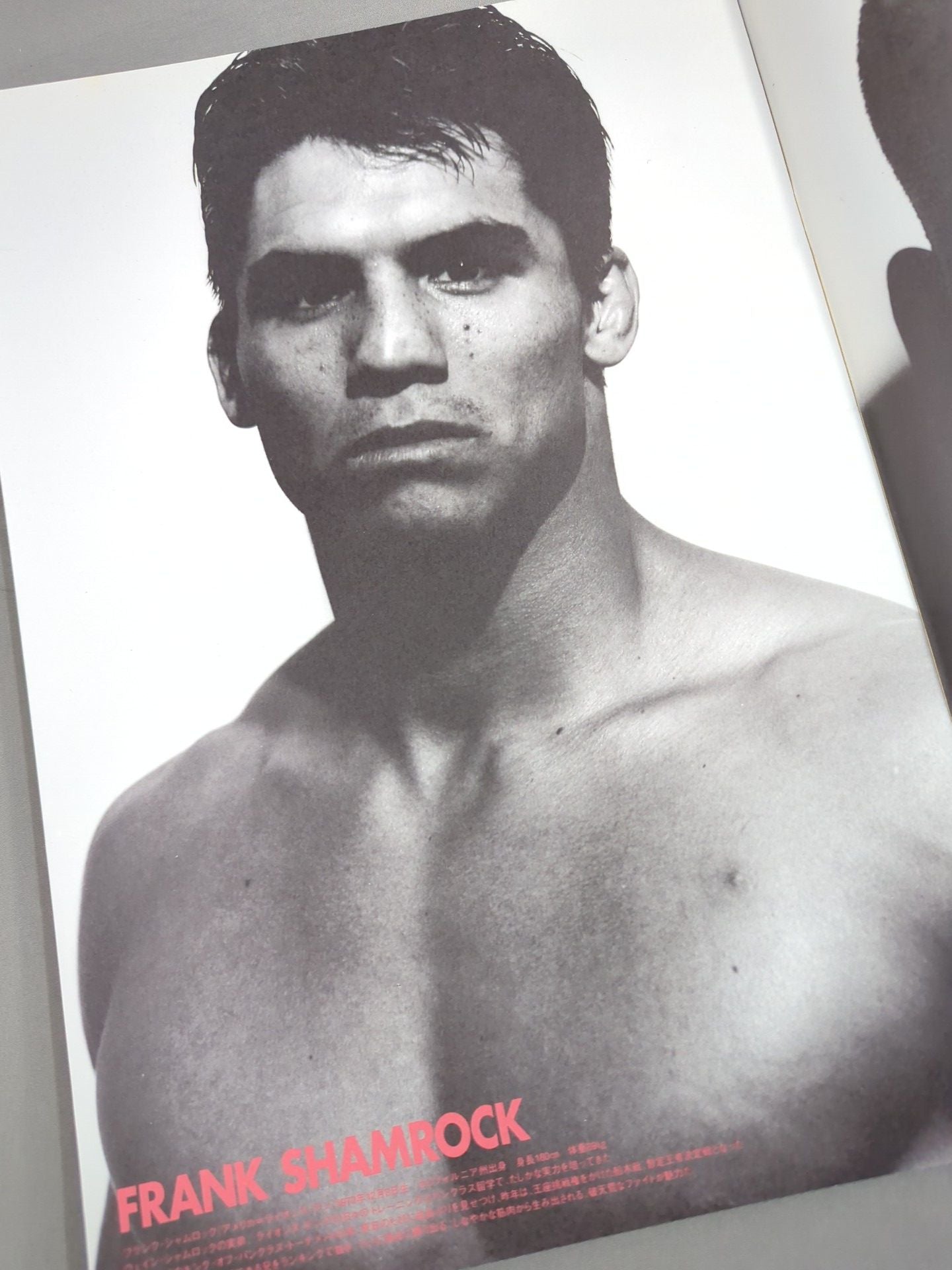 HYBRID Vol.5 / PANCRASE TOUR 1996 TRUTH