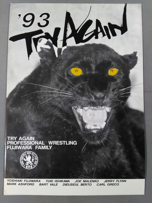 TRY AGAIN ミスター空中追悼記念興行