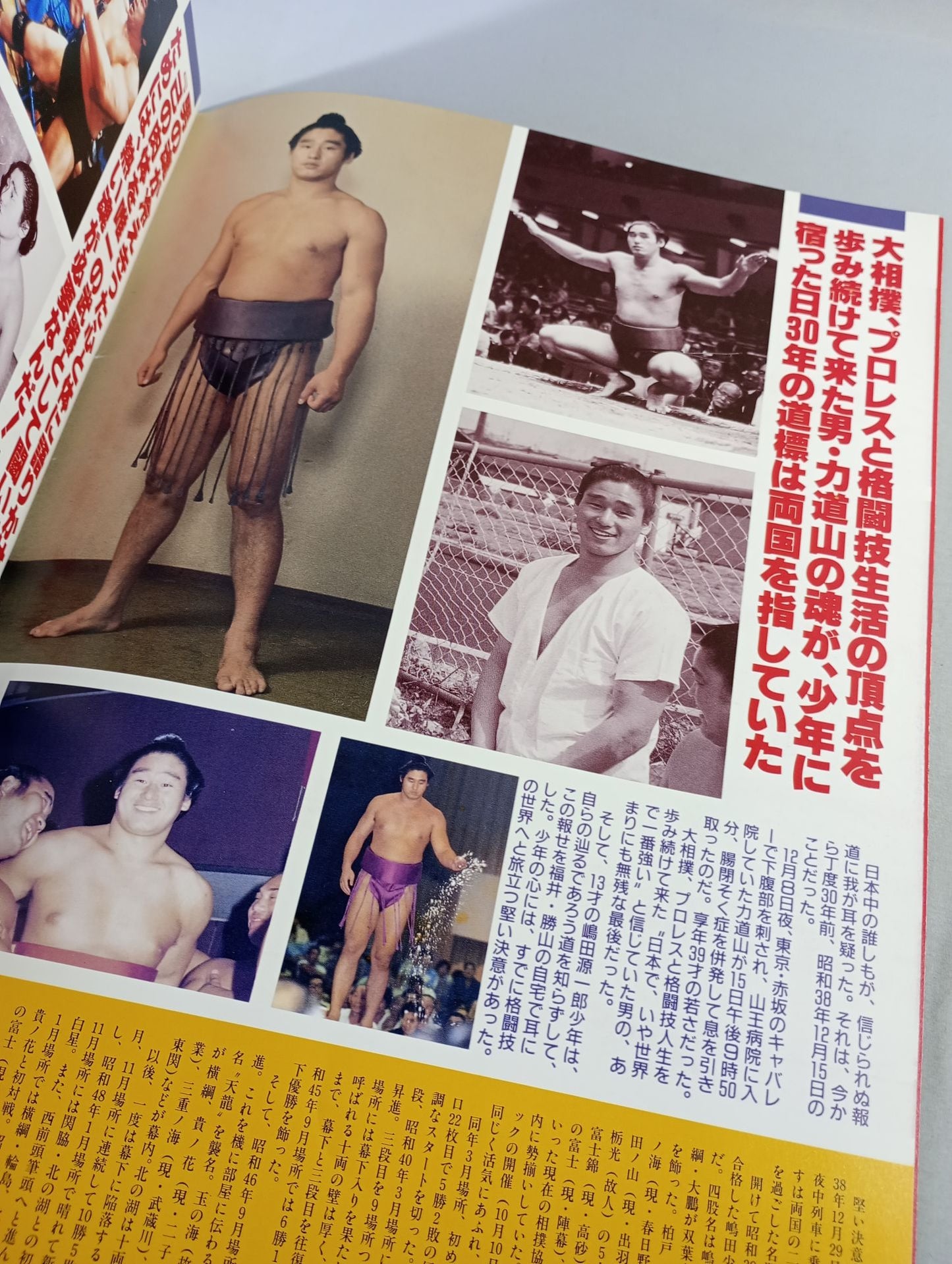 【With ticket stub 】WAR / revolution TenryuGenichiro Martial Arts 30th Anniversary Tournament